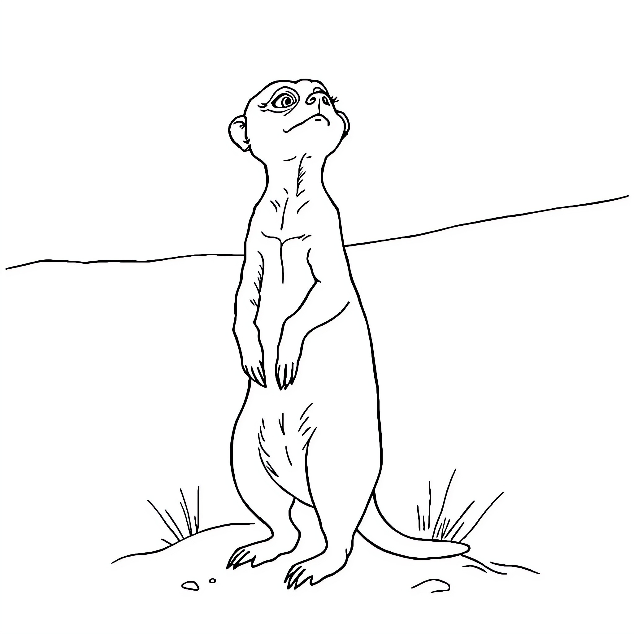 Meerkat standing alert in the wilderness Coloring Page (free black-and-white line drawing printable PDF for all, from beginners to advanced learners, including children, teens, adults, and seniors)