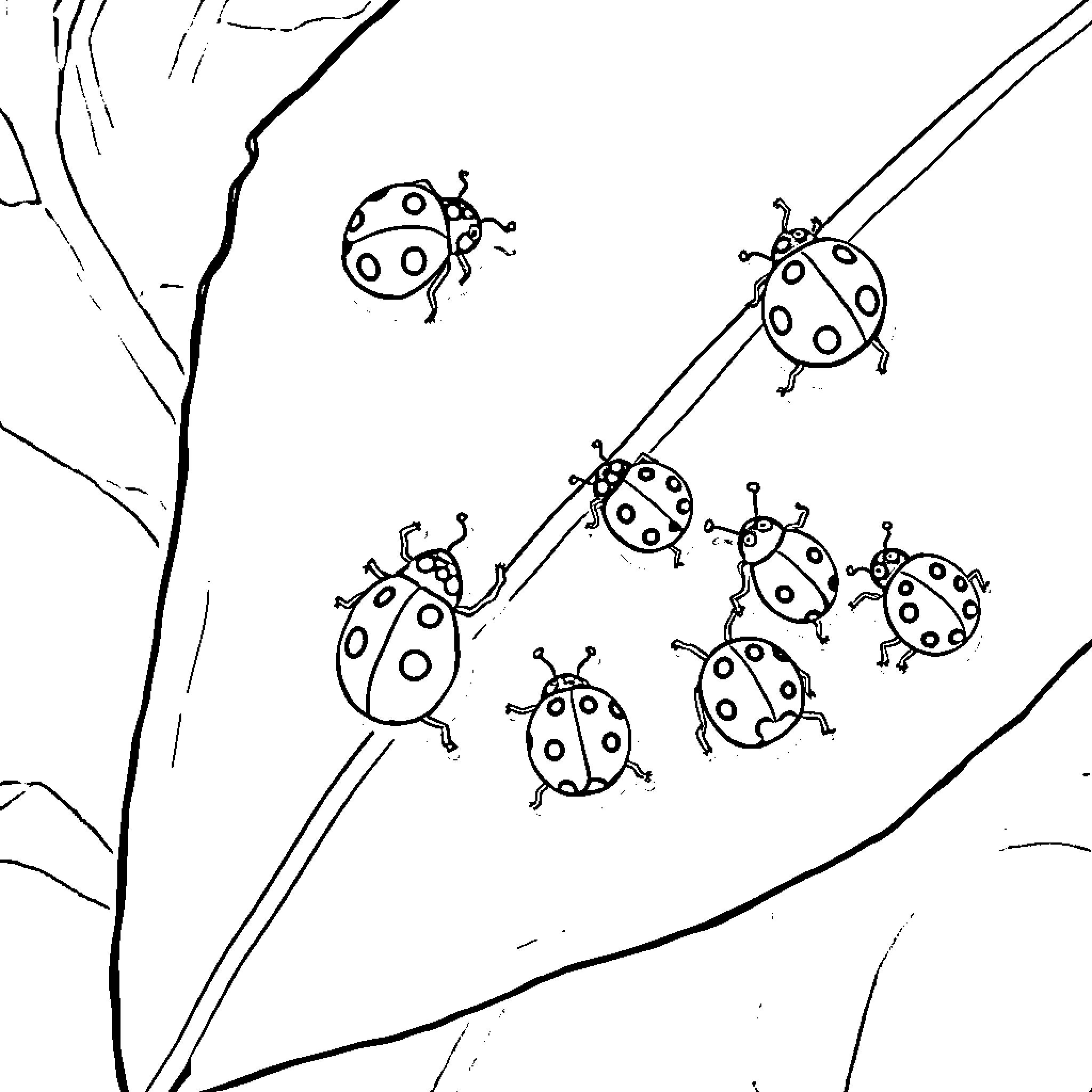 Ladybugs climbing and exploring on leaf Coloring Page (free black-and-white line drawing printable PDF for all, from beginners to advanced learners, including children, teens, adults, and seniors)