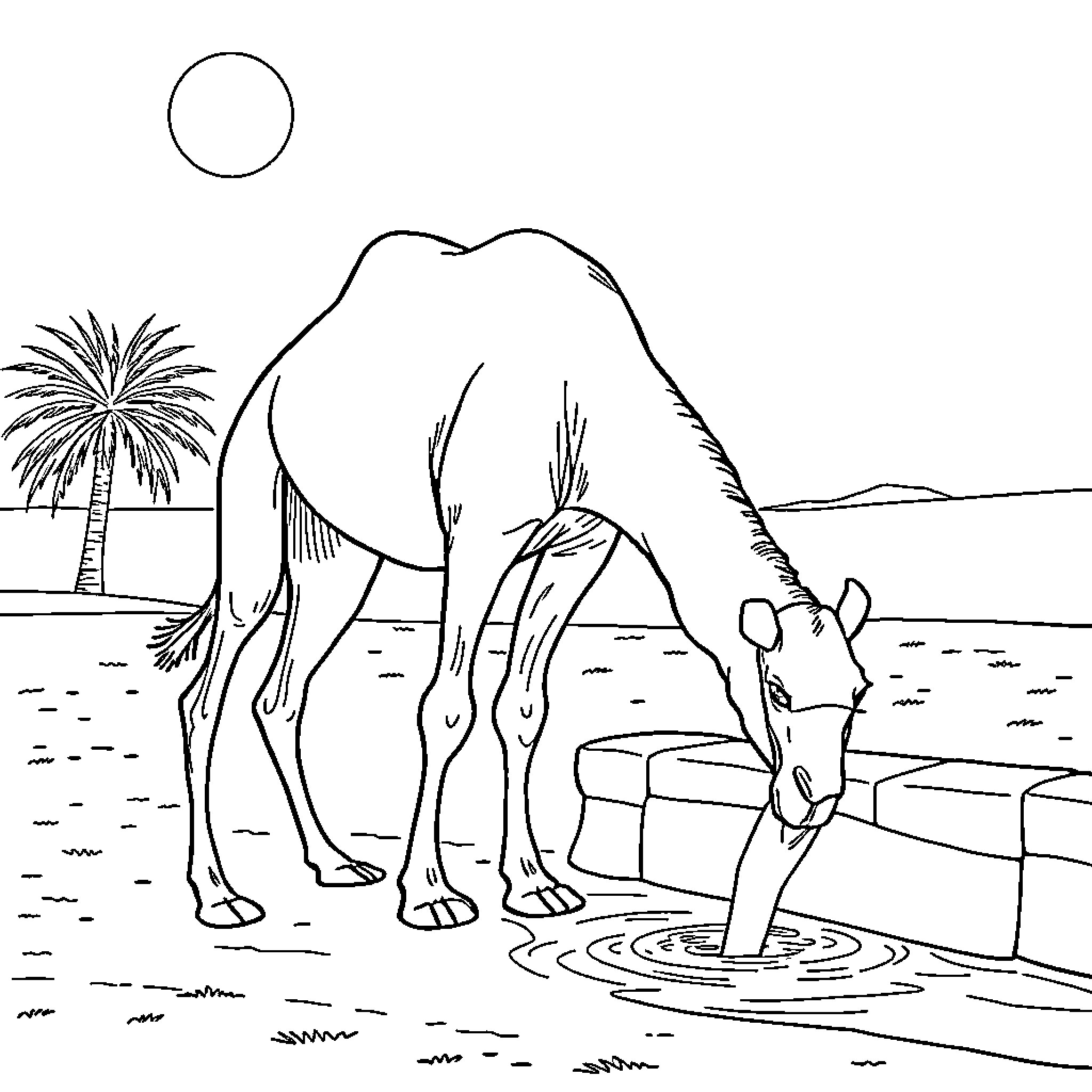 Camel drinking from a water source in the desert Coloring Page (free black-and-white line drawing printable PDF for all, from beginners to advanced learners, including children, teens, adults, and seniors)