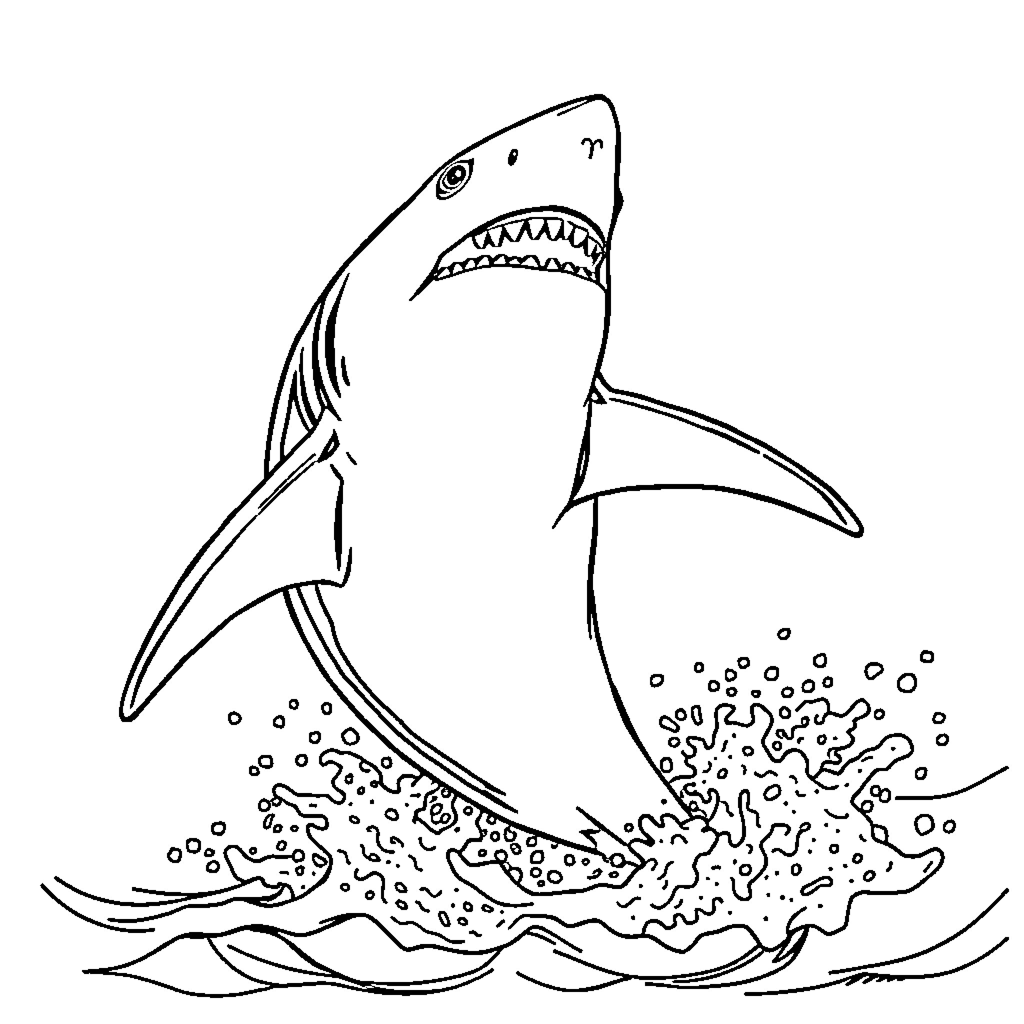Shark attacking with open jaws Coloring Page (free black-and-white line drawing printable PDF for all, from beginners to advanced learners, including children, teens, adults, and seniors)
