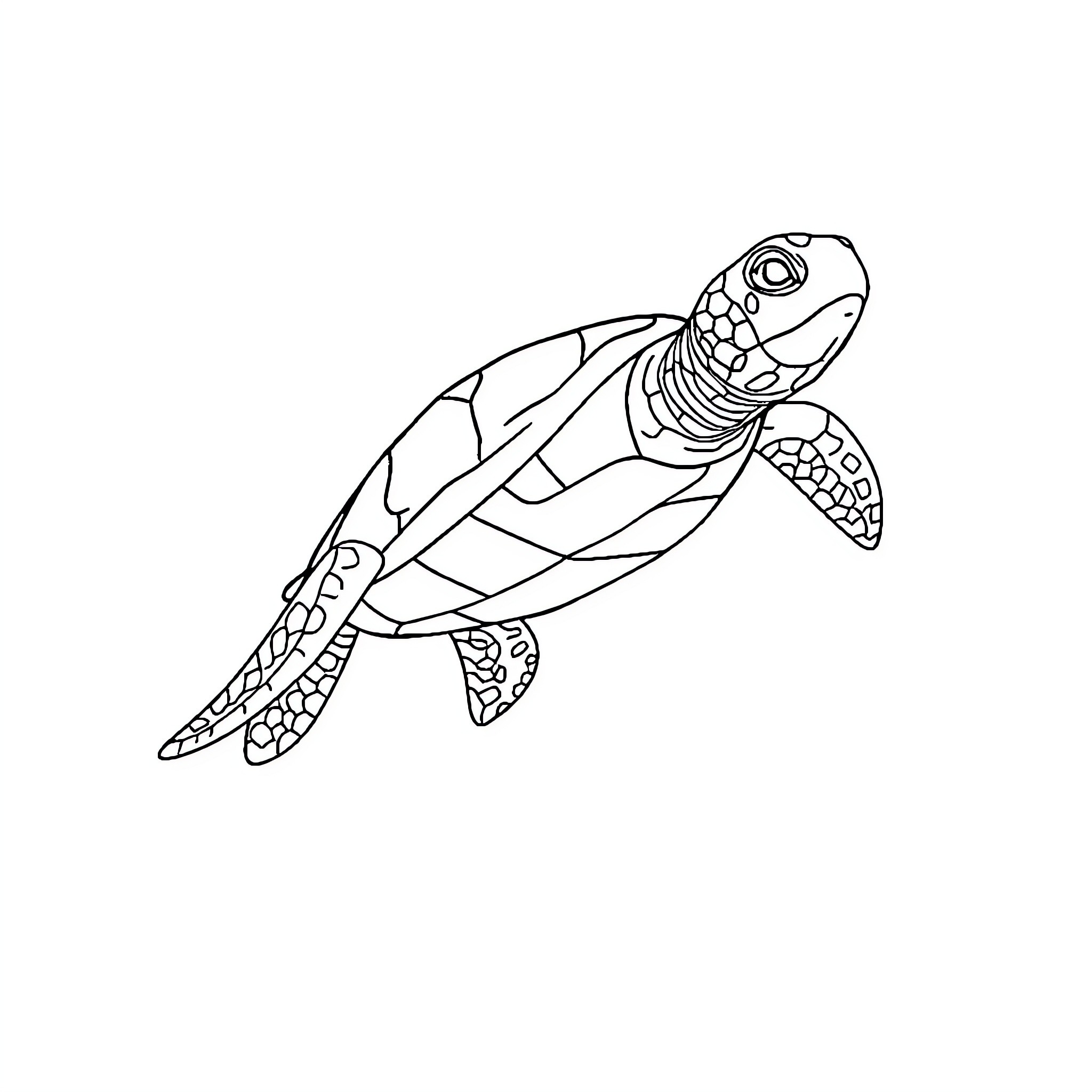 Flying Turtle soaring with animated expressions Coloring Page (free black-and-white line drawing printable PDF for all, from beginners to advanced learners, including children, teens, adults, and seniors)