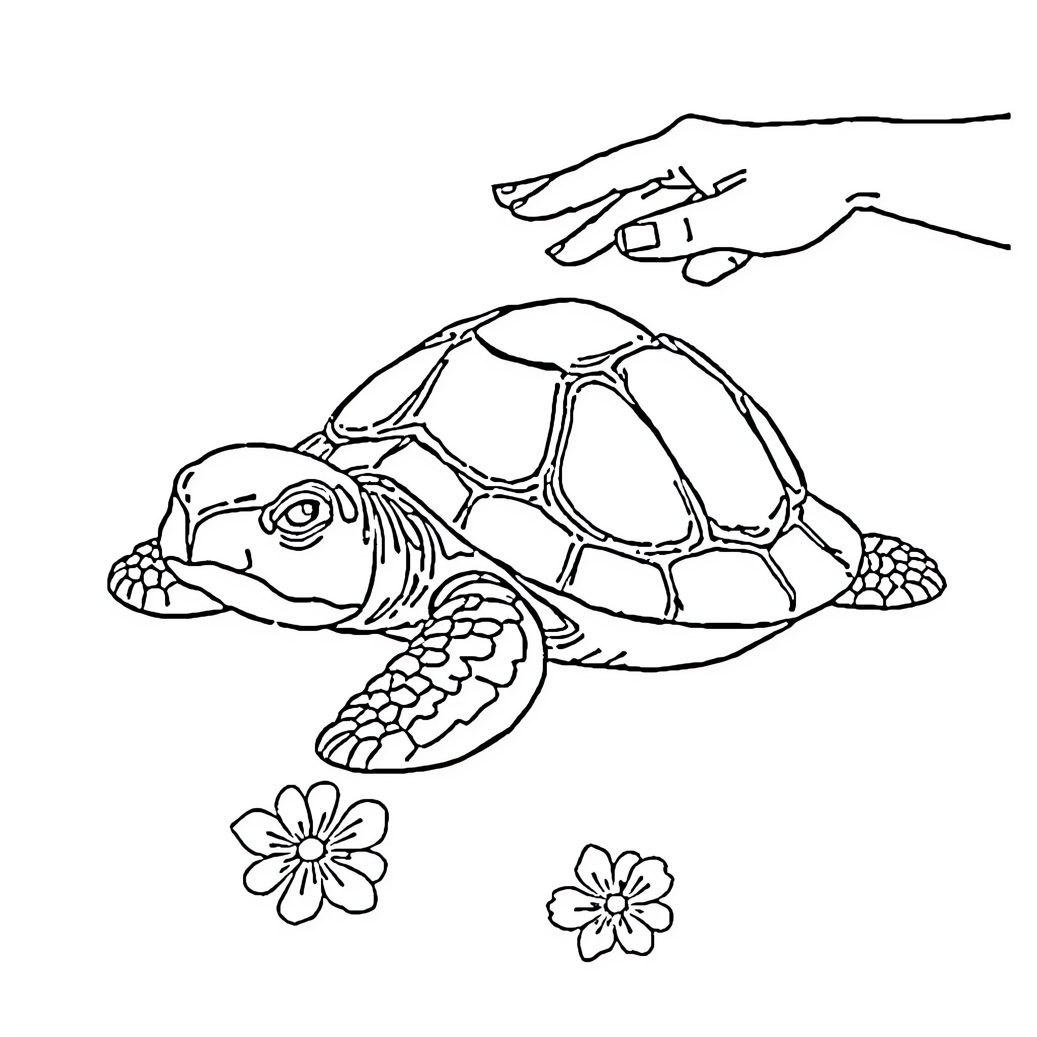 Turtle cautiously approaching a hand Coloring Page (free black-and-white line drawing printable PDF for all, from beginners to advanced learners, including children, teens, adults, and seniors)