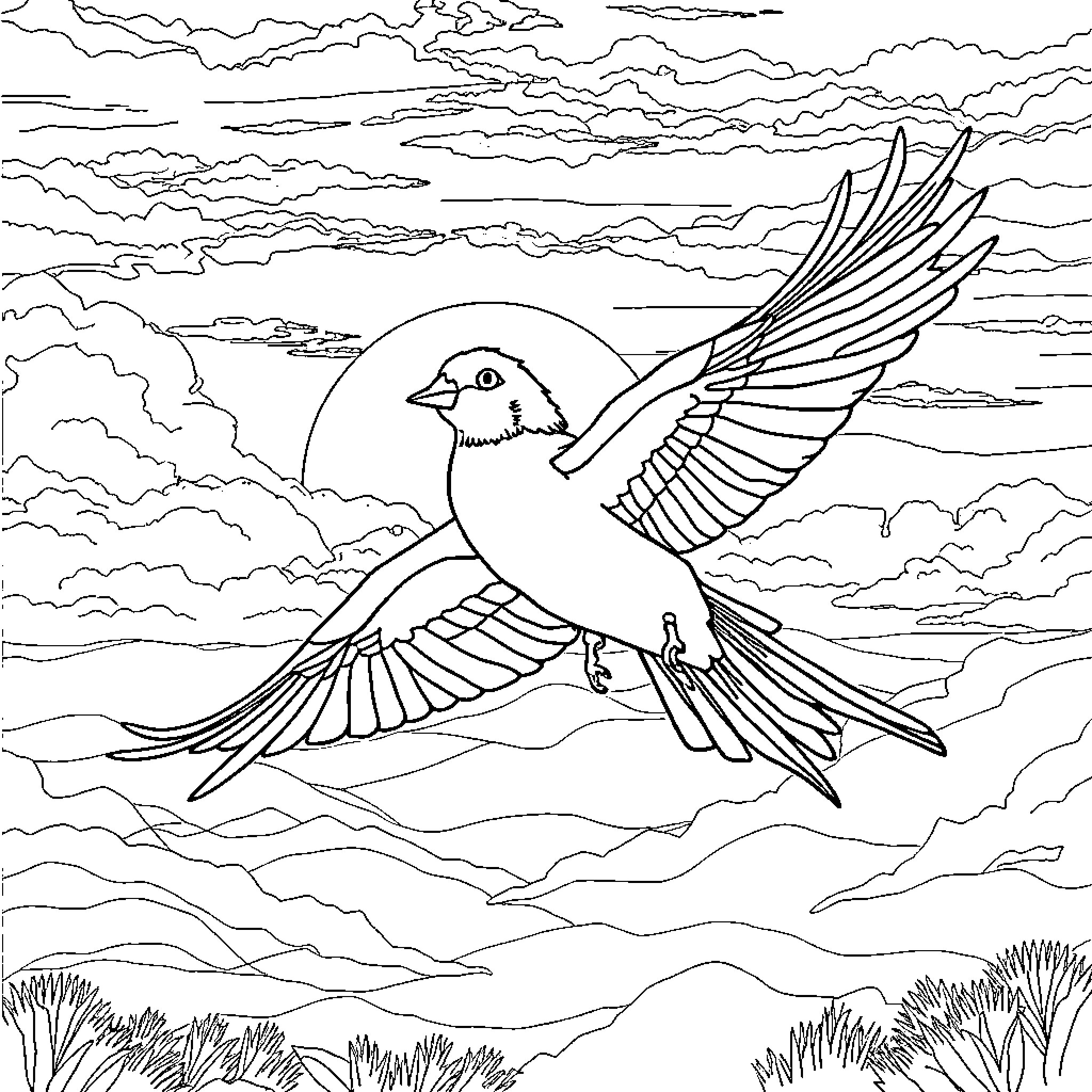 Cockatiel soaring gracefully through the sky Coloring Page (free black-and-white line drawing printable PDF for all, from beginners to advanced learners, including children, teens, adults, and seniors)