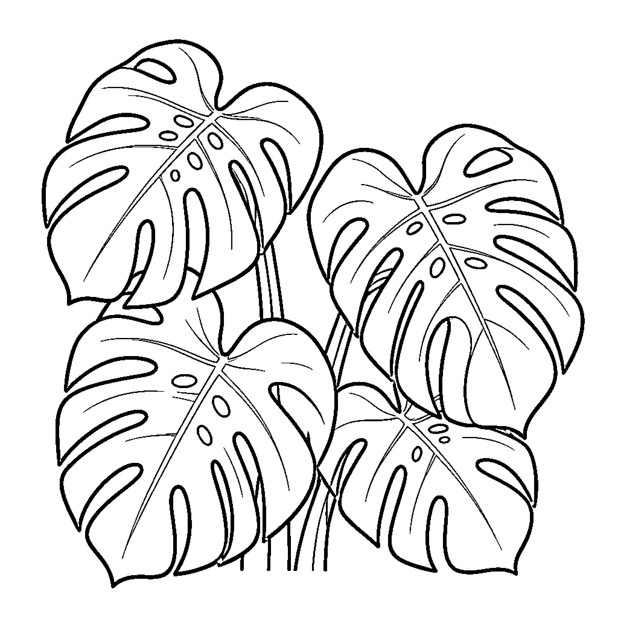 Monstera leaves in a simple illustration Coloring Page (free black-and-white line drawing printable PDF for all, from beginners to advanced learners, including children, teens, adults, and seniors)