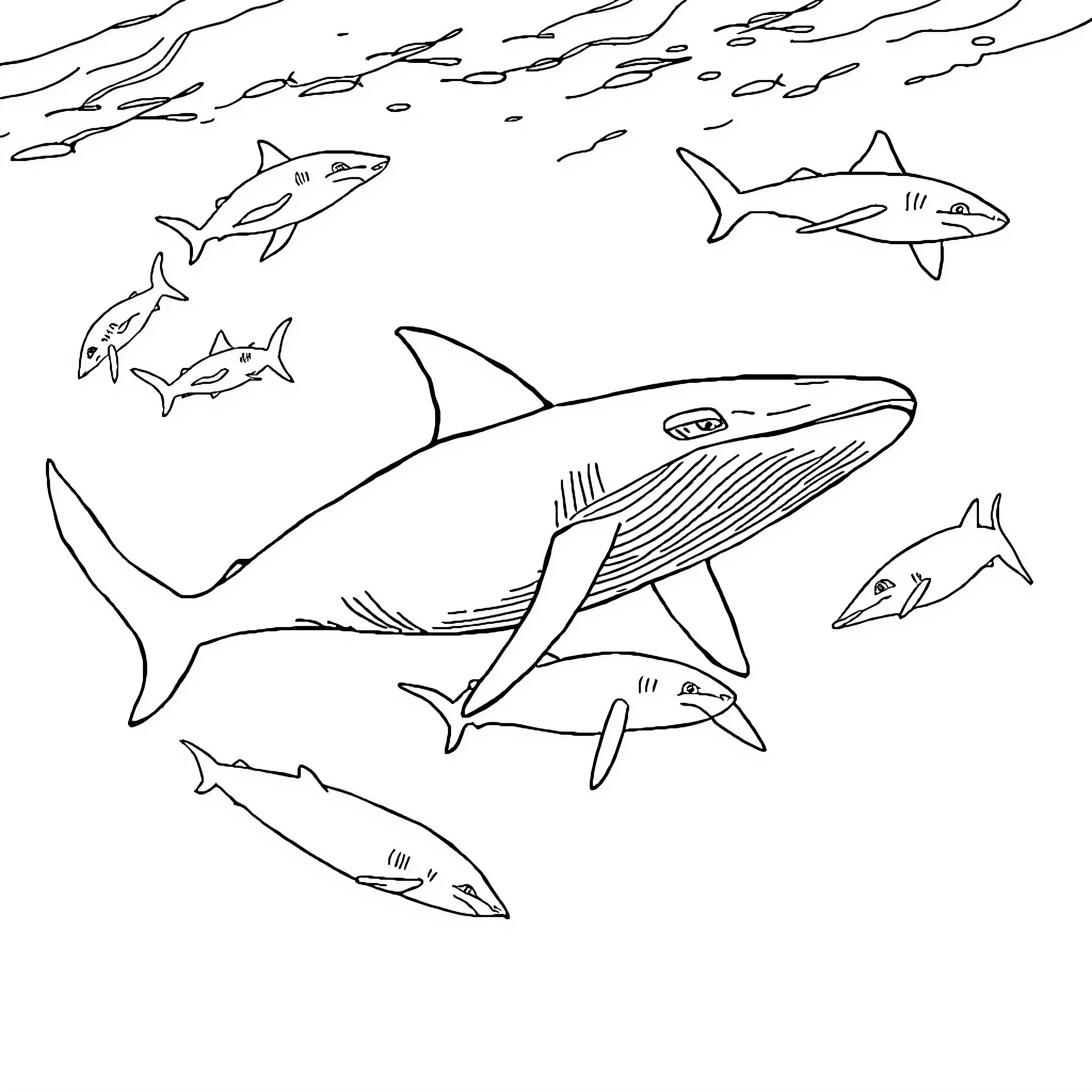 Shark hunting school of fish in the ocean Coloring Page (free black-and-white line drawing printable PDF for all, from beginners to advanced learners, including children, teens, adults, and seniors)