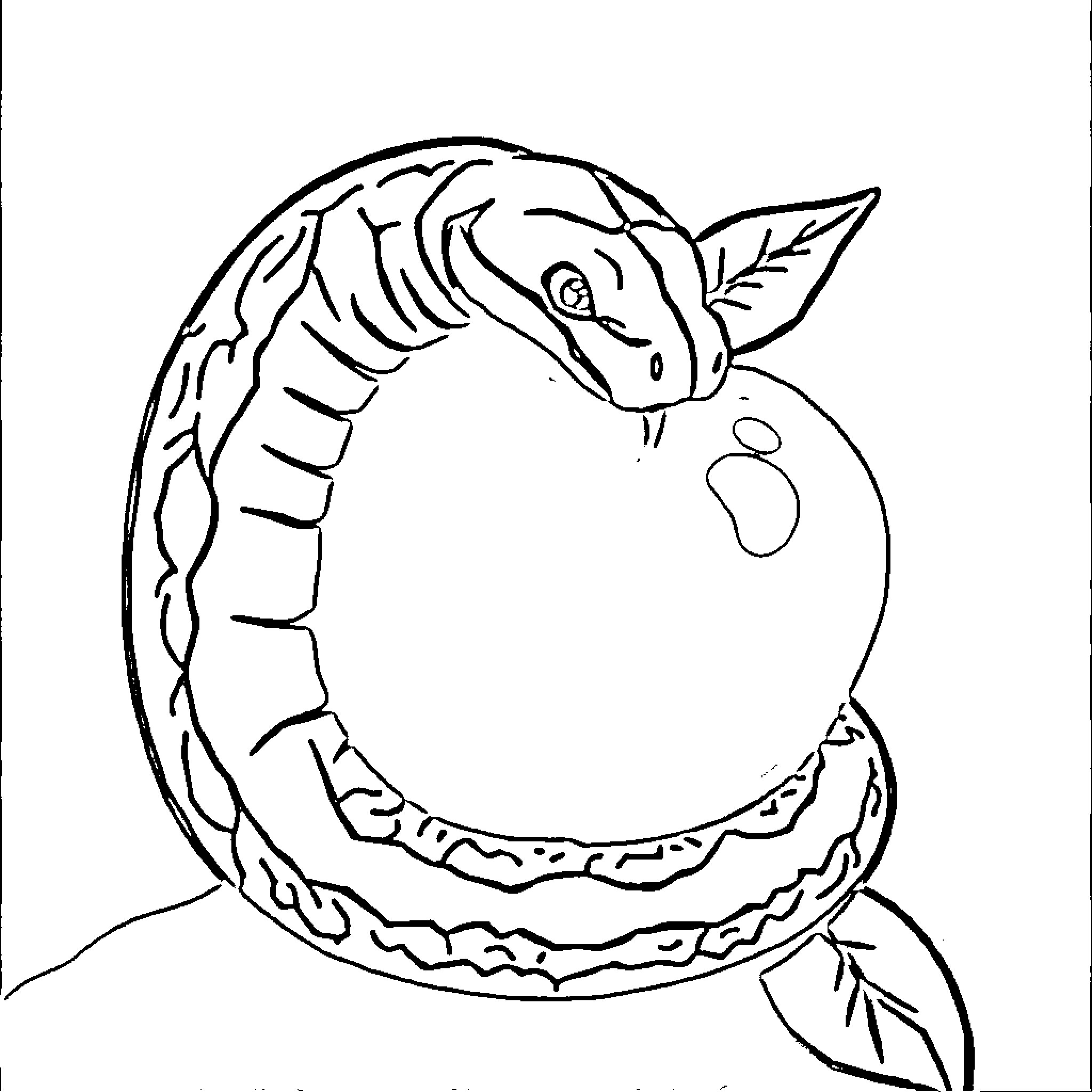 Snake coiling around a juicy apple Coloring Page (free black-and-white line drawing printable PDF for all, from beginners to advanced learners, including children, teens, adults, and seniors)