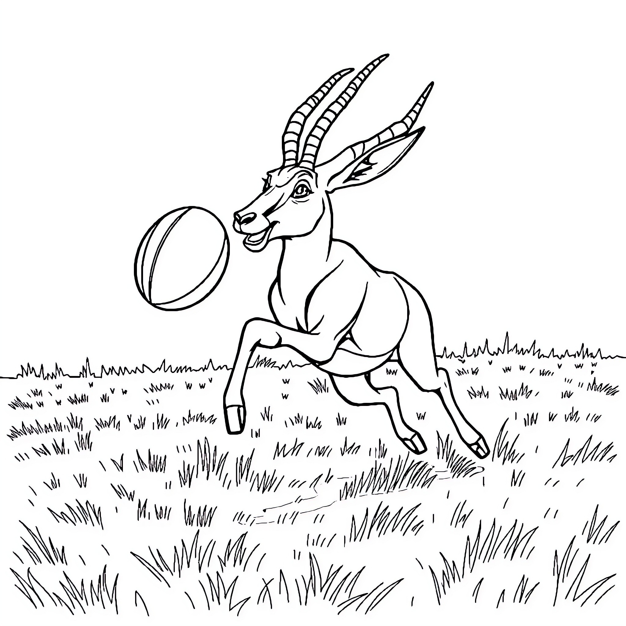 Springbok playing joyfully with ball in the field Coloring Page (free black-and-white line drawing printable PDF for all, from beginners to advanced learners, including children, teens, adults, and seniors)