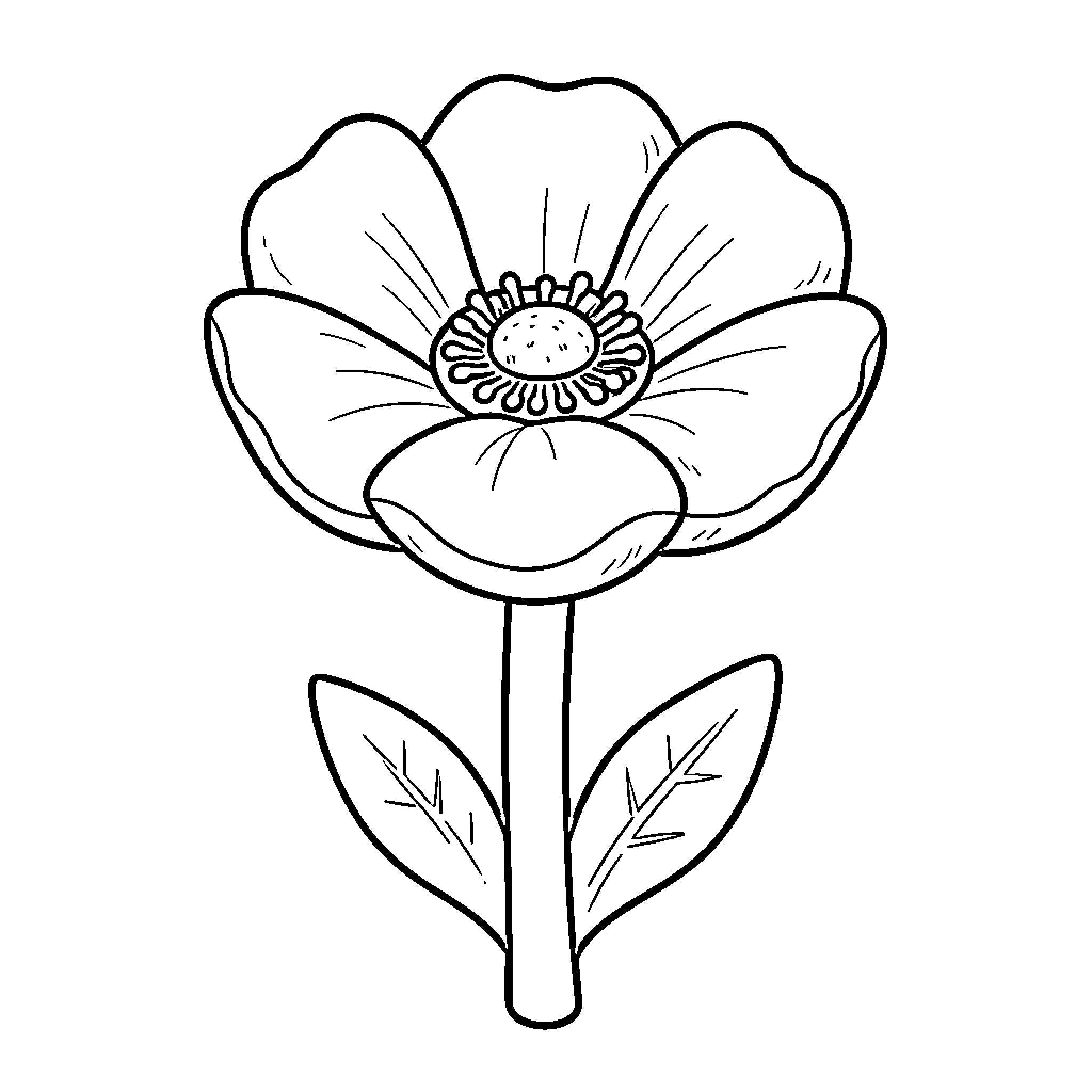 Poppy flower blooming with petals and leaves Coloring Page (free black-and-white line drawing printable PDF for all, from beginners to advanced learners, including children, teens, adults, and seniors)