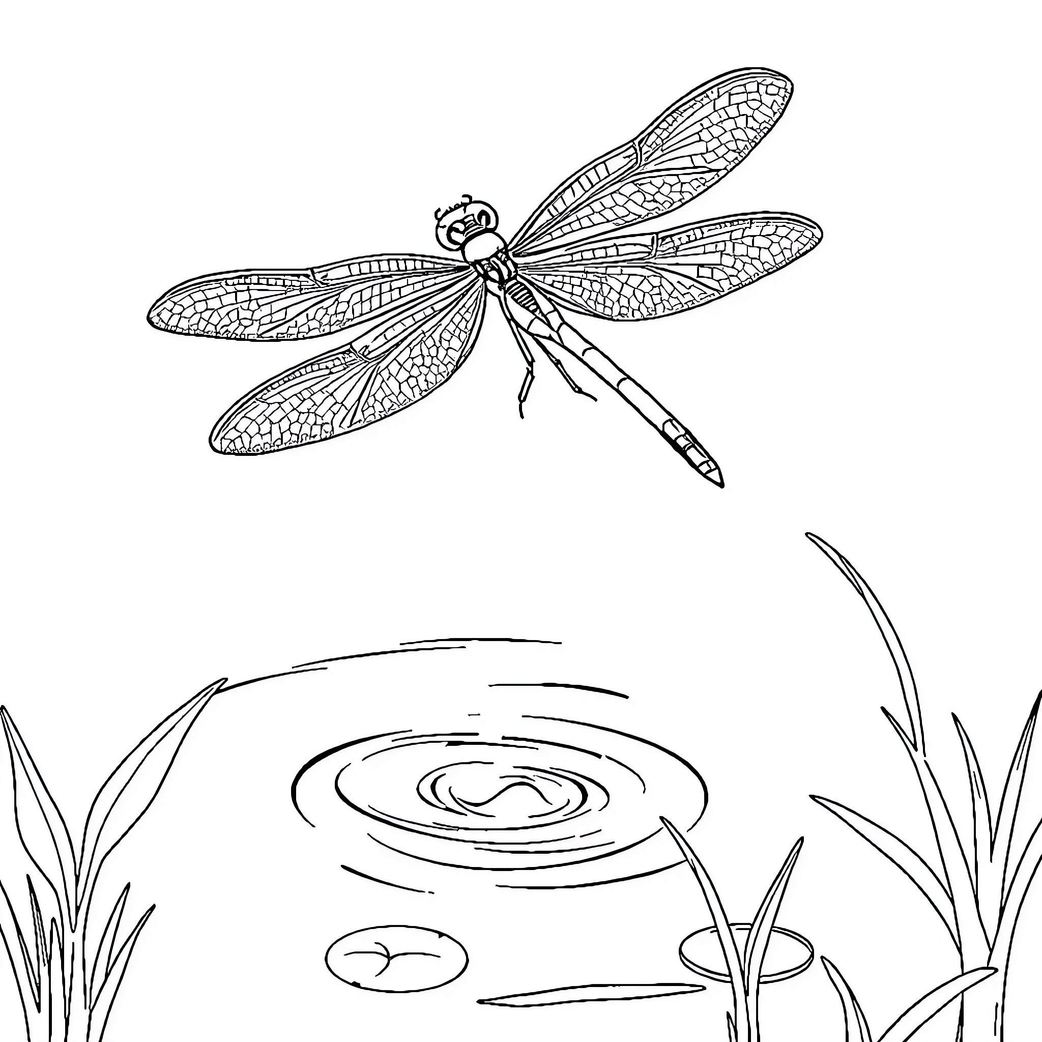 Dragonfly hovering over a tranquil pond Coloring Page (free black-and-white line drawing printable PDF for all, from beginners to advanced learners, including children, teens, adults, and seniors)