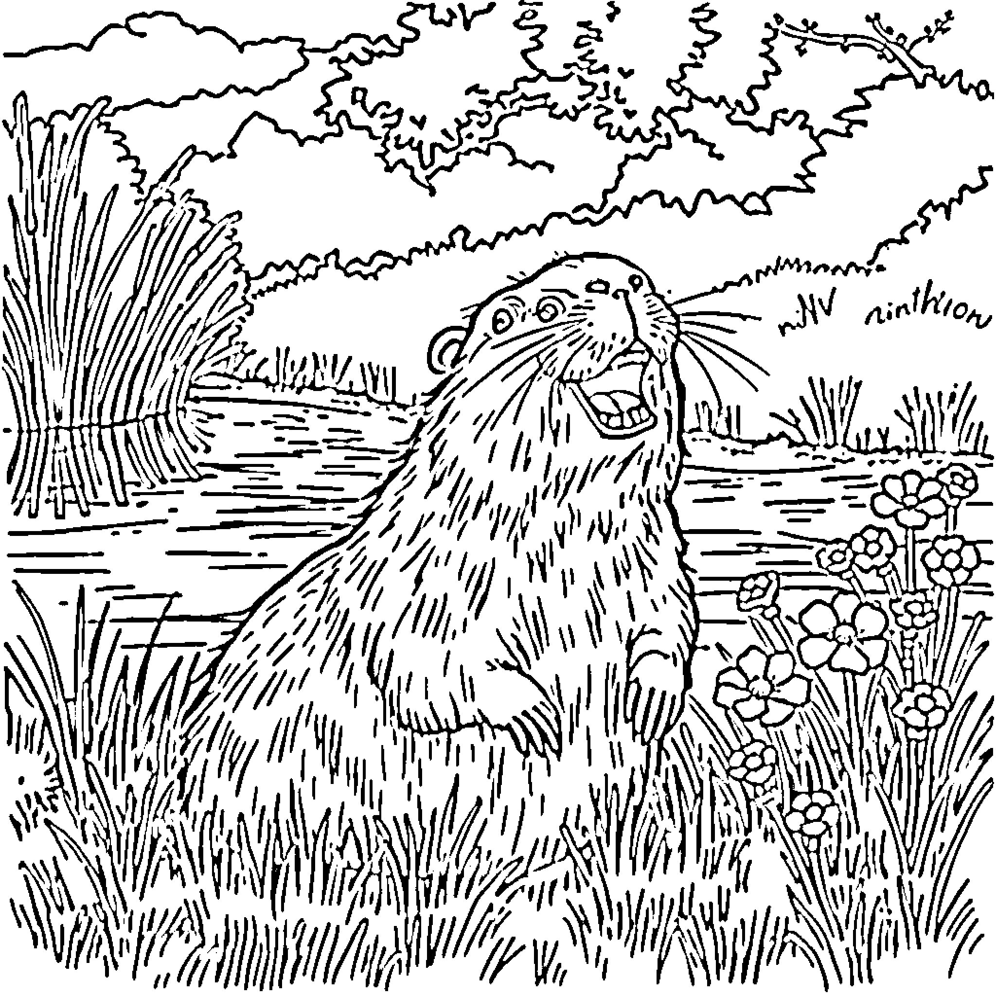 Capybara exploring lush vegetation by the water Coloring Page (free black-and-white line drawing printable PDF for all, from beginners to advanced learners, including children, teens, adults, and seniors)