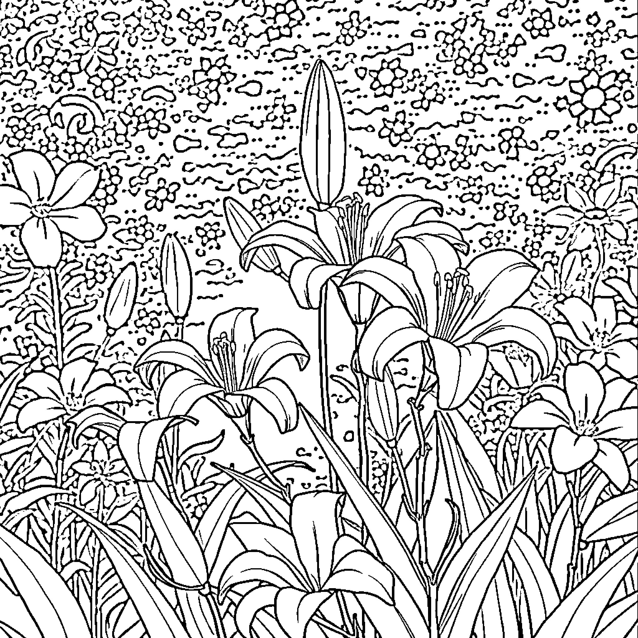 Lily flowers blooming in vibrant garden Coloring Page (free black-and-white line drawing printable PDF for all, from beginners to advanced learners, including children, teens, adults, and seniors)