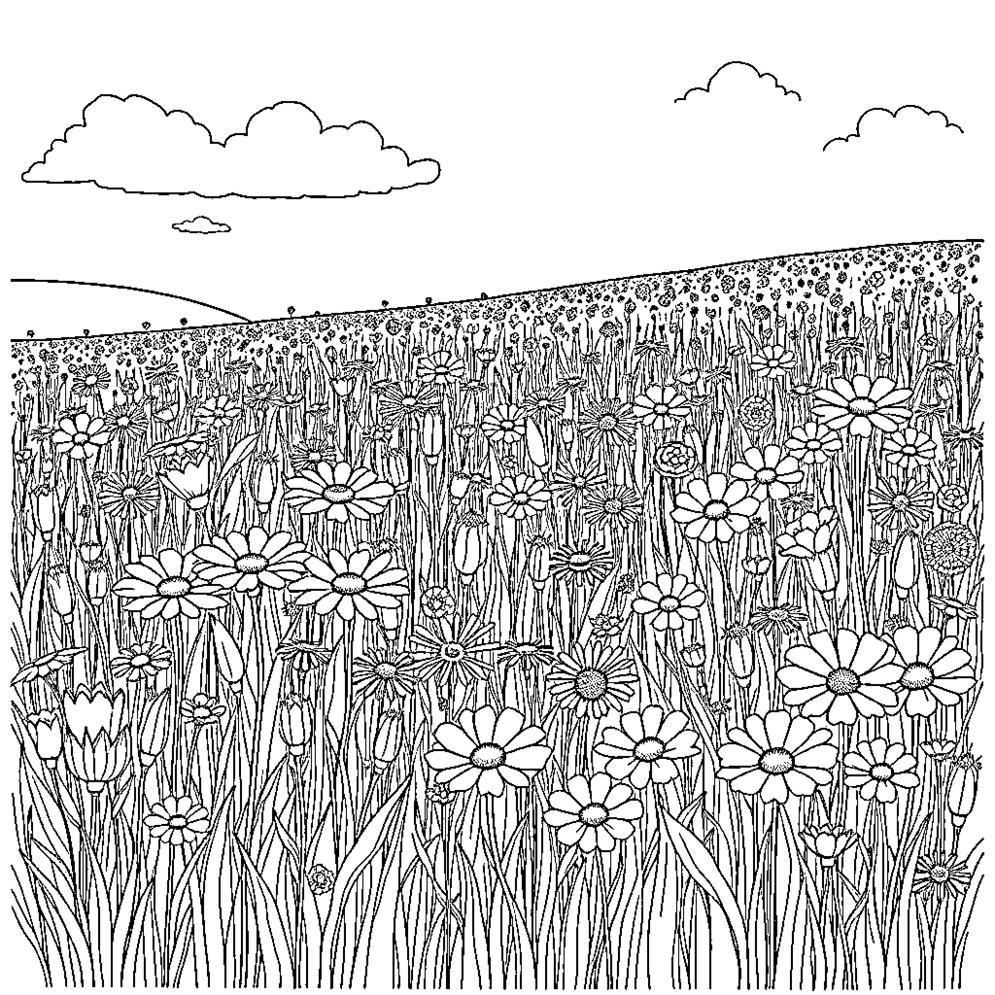 Wildflower meadow in full bloom Coloring Page (free black-and-white line drawing printable PDF for all, from beginners to advanced learners, including children, teens, adults, and seniors)