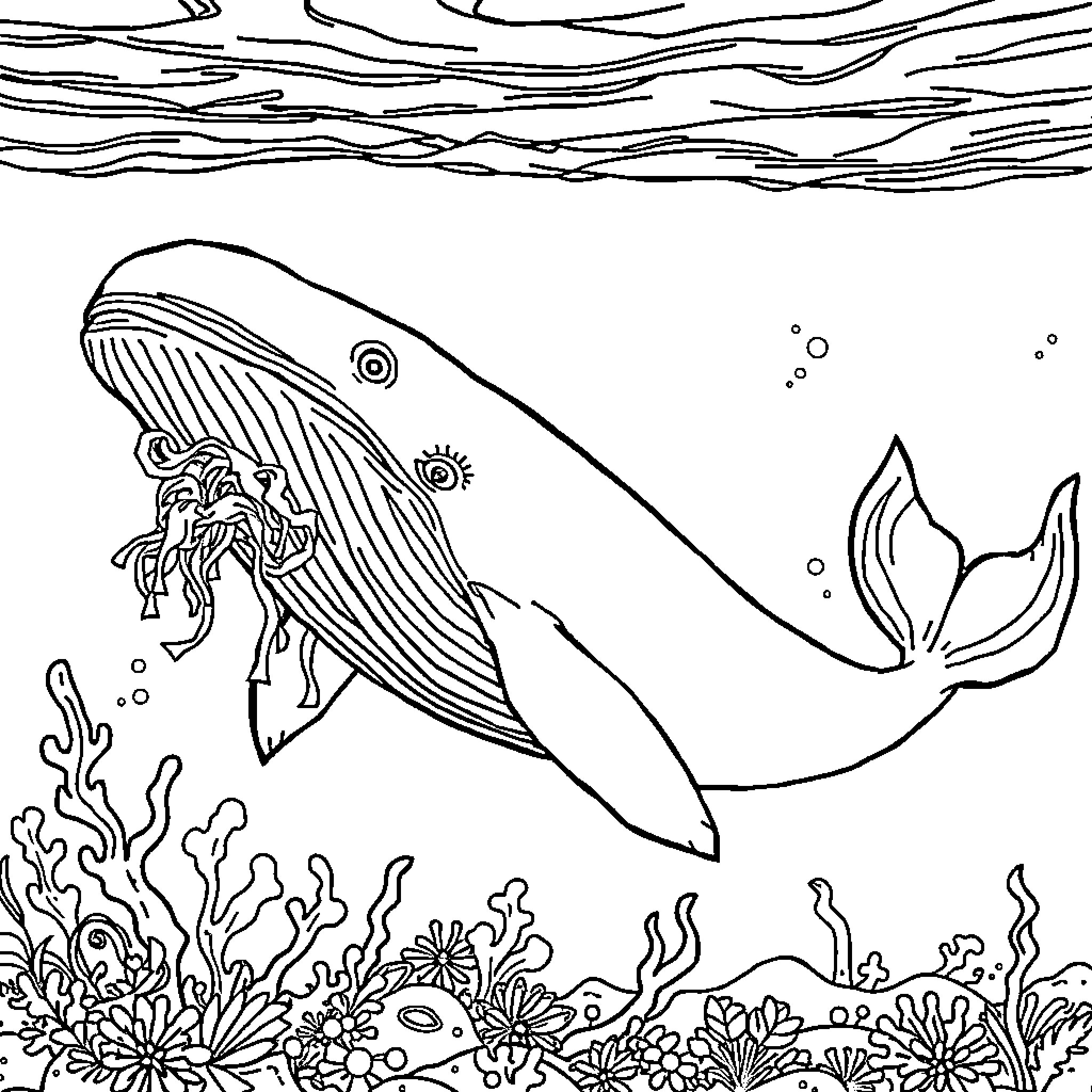 Whale swimming gracefully through vibrant marine life Coloring Page (free black-and-white line drawing printable PDF for all, from beginners to advanced learners, including children, teens, adults, and seniors)