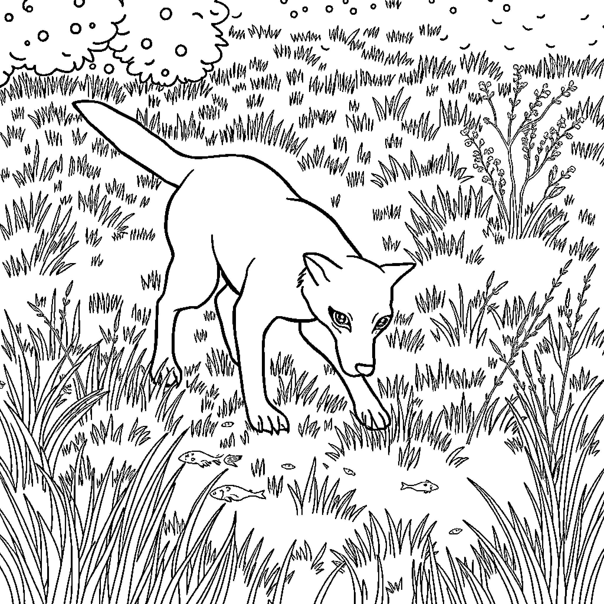 Dog prowling cautiously through tall grass Coloring Page (free black-and-white line drawing printable PDF for all, from beginners to advanced learners, including children, teens, adults, and seniors)