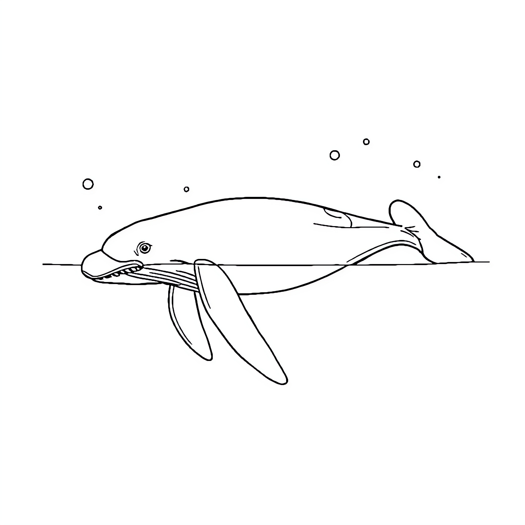 Baleine swimming gracefully in the sea Coloring Page (free black-and-white line drawing printable PDF for all, from beginners to advanced learners, including children, teens, adults, and seniors)