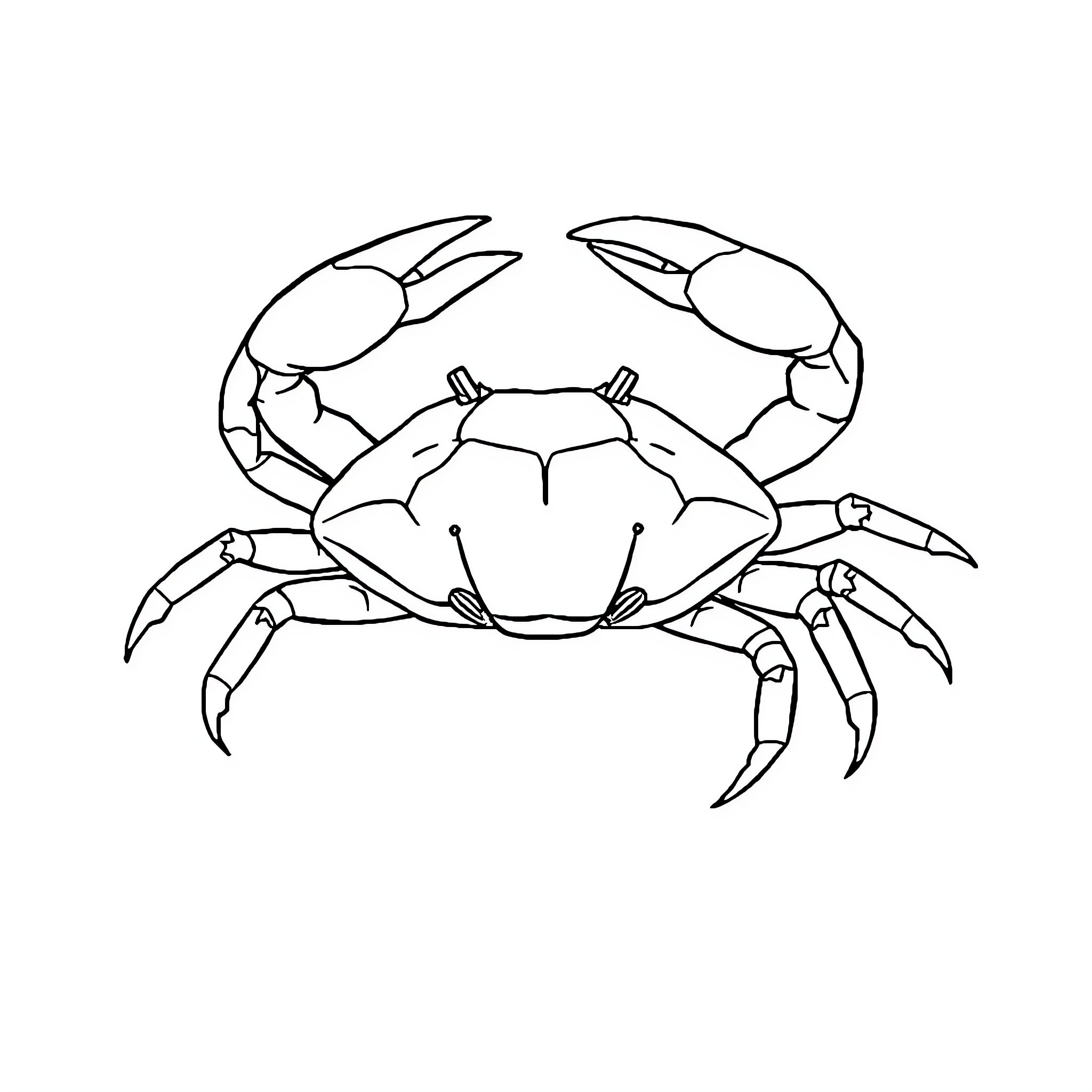 Cancer creature with distinctive claws and shell Coloring Page (free black-and-white line drawing printable PDF for all, from beginners to advanced learners, including children, teens, adults, and seniors)