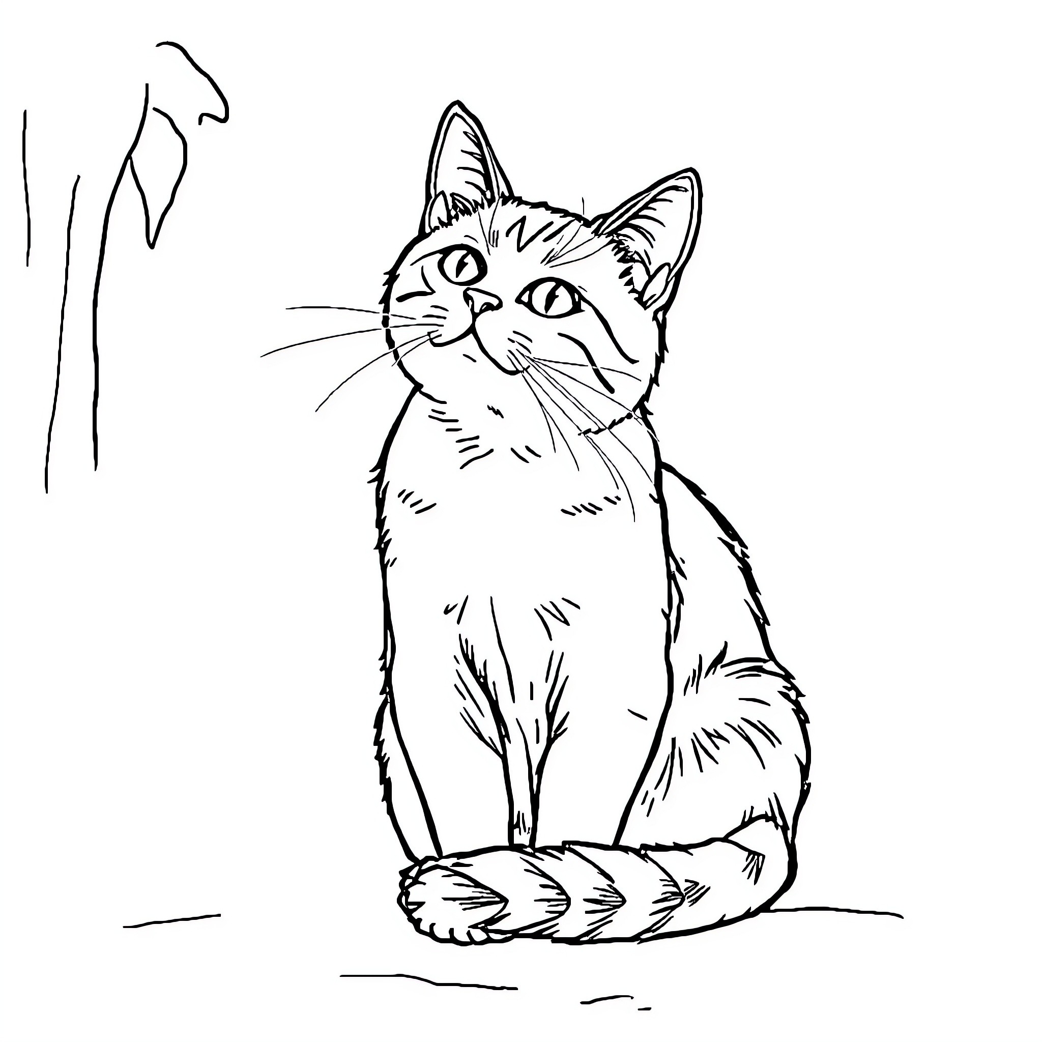 Cat sitting with attentive expression Coloring Page (free black-and-white line drawing printable PDF for all, from beginners to advanced learners, including children, teens, adults, and seniors)