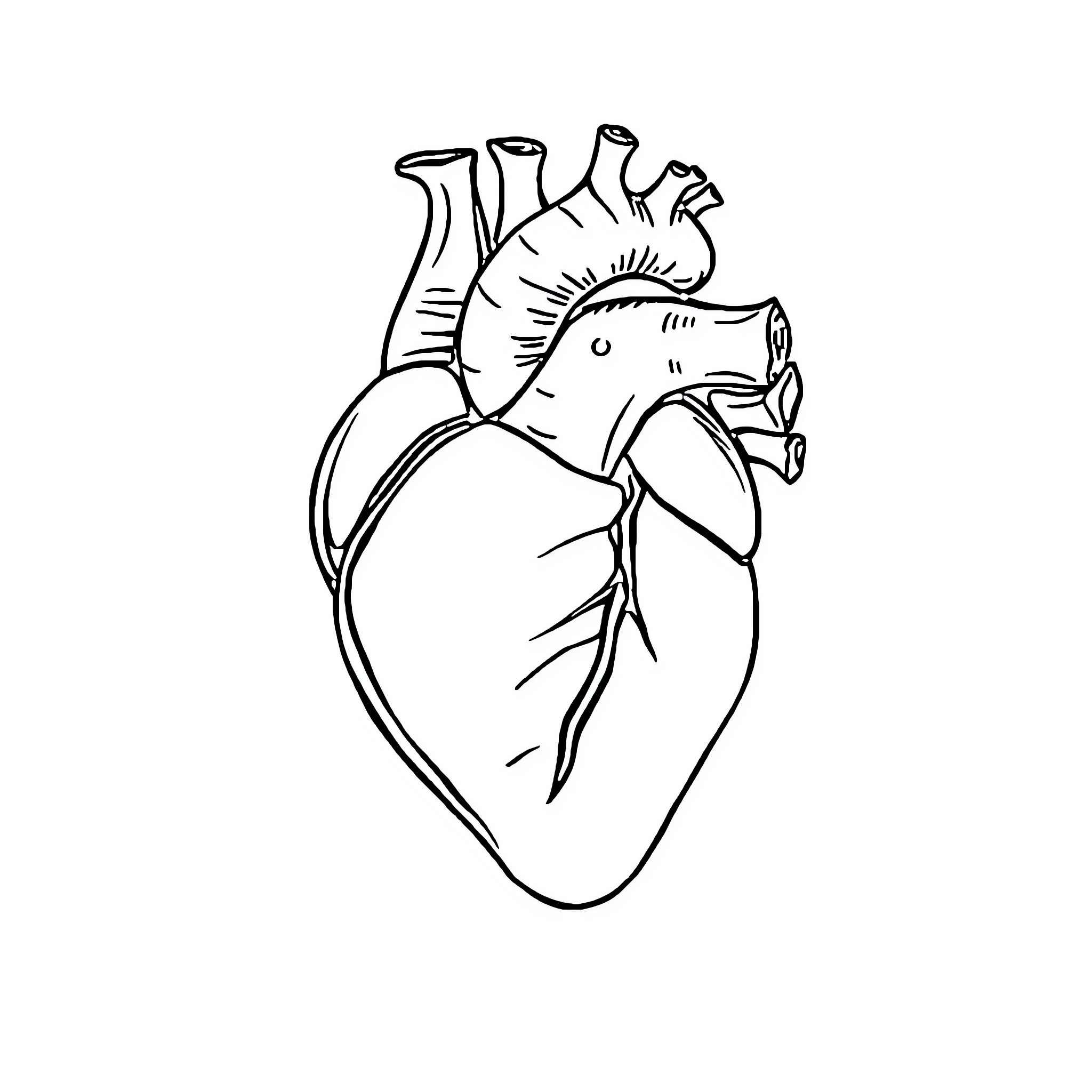 Heart of a Curious Creature Coloring Page (free black-and-white line drawing printable PDF for all, from beginners to advanced learners, including children, teens, adults, and seniors)