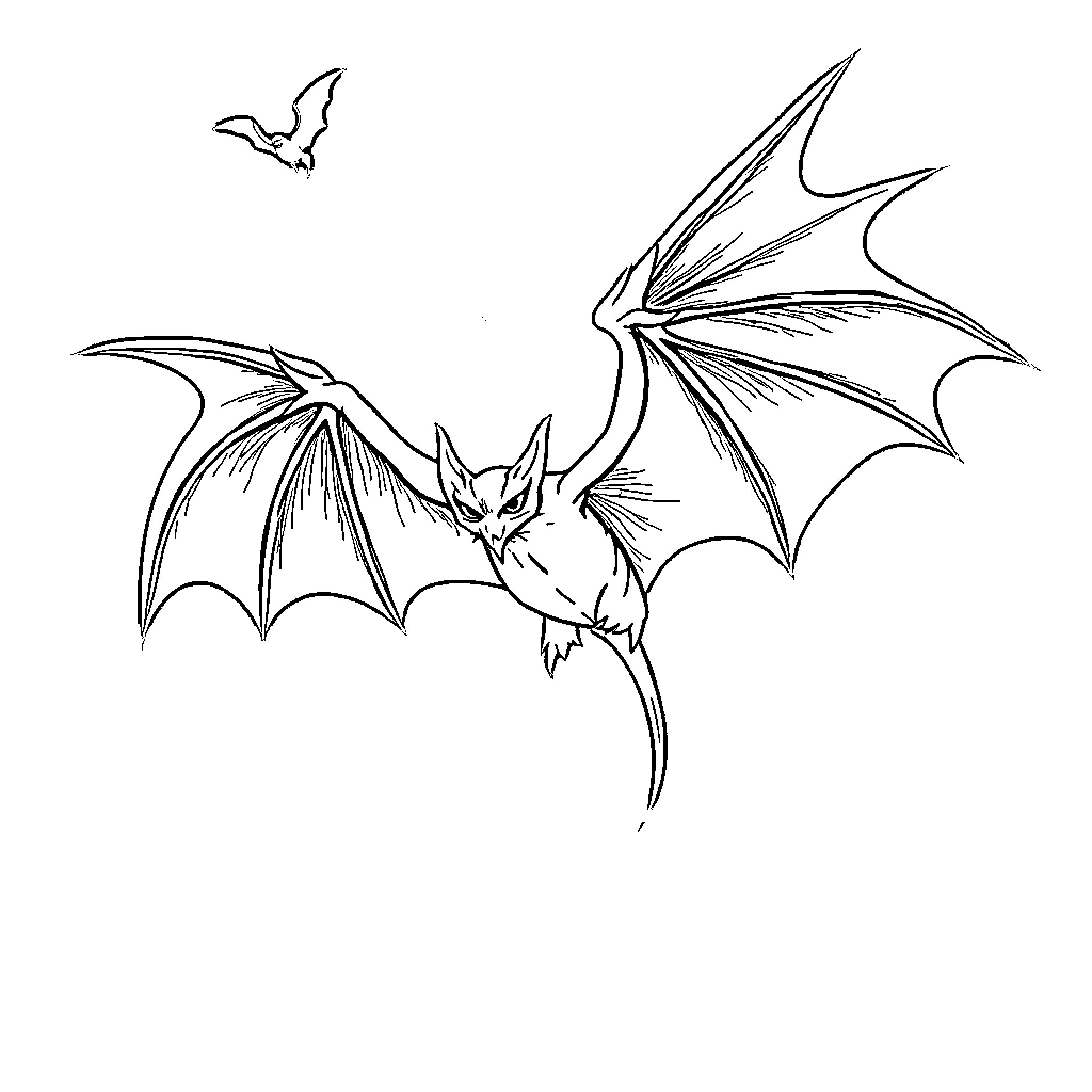 Bats in flight with spread wings Coloring Page (free black-and-white line drawing printable PDF for all, from beginners to advanced learners, including children, teens, adults, and seniors)
