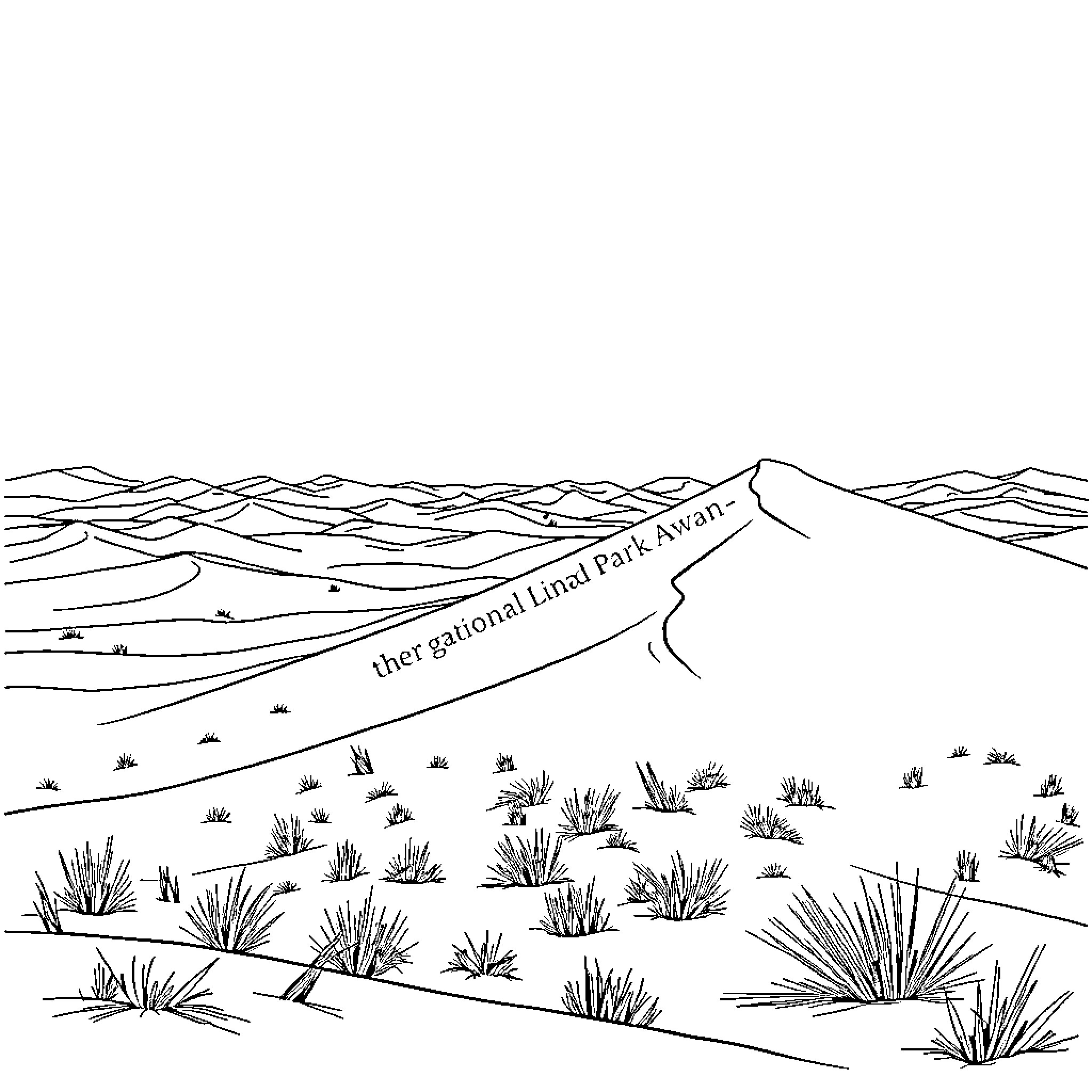 Sand Dune Landscape with Signage Coloring Page (free black-and-white line drawing printable PDF for all, from beginners to advanced learners, including children, teens, adults, and seniors)