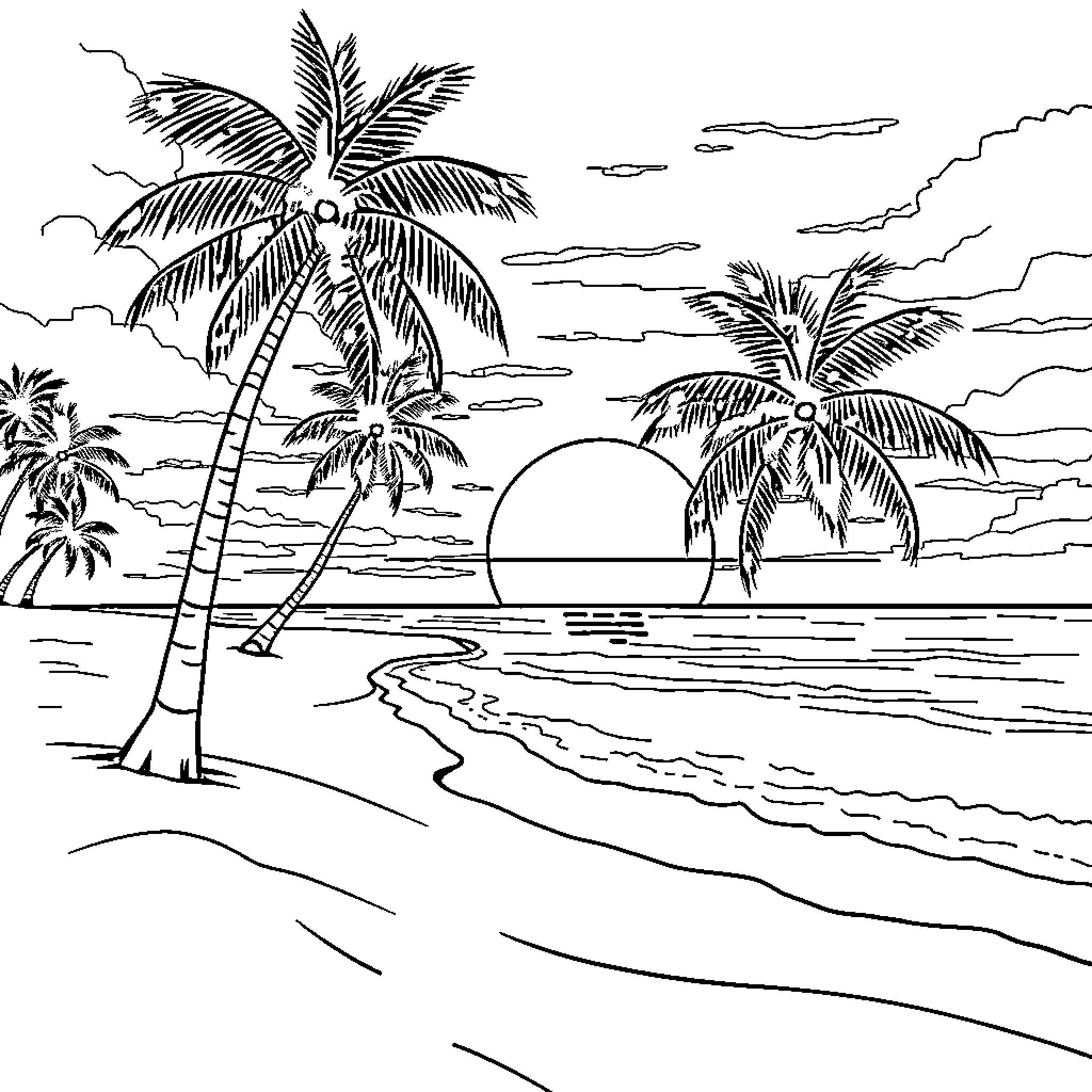 Beach scene with palm trees and sunset Coloring Page (free black-and-white line drawing printable PDF for all, from beginners to advanced learners, including children, teens, adults, and seniors)