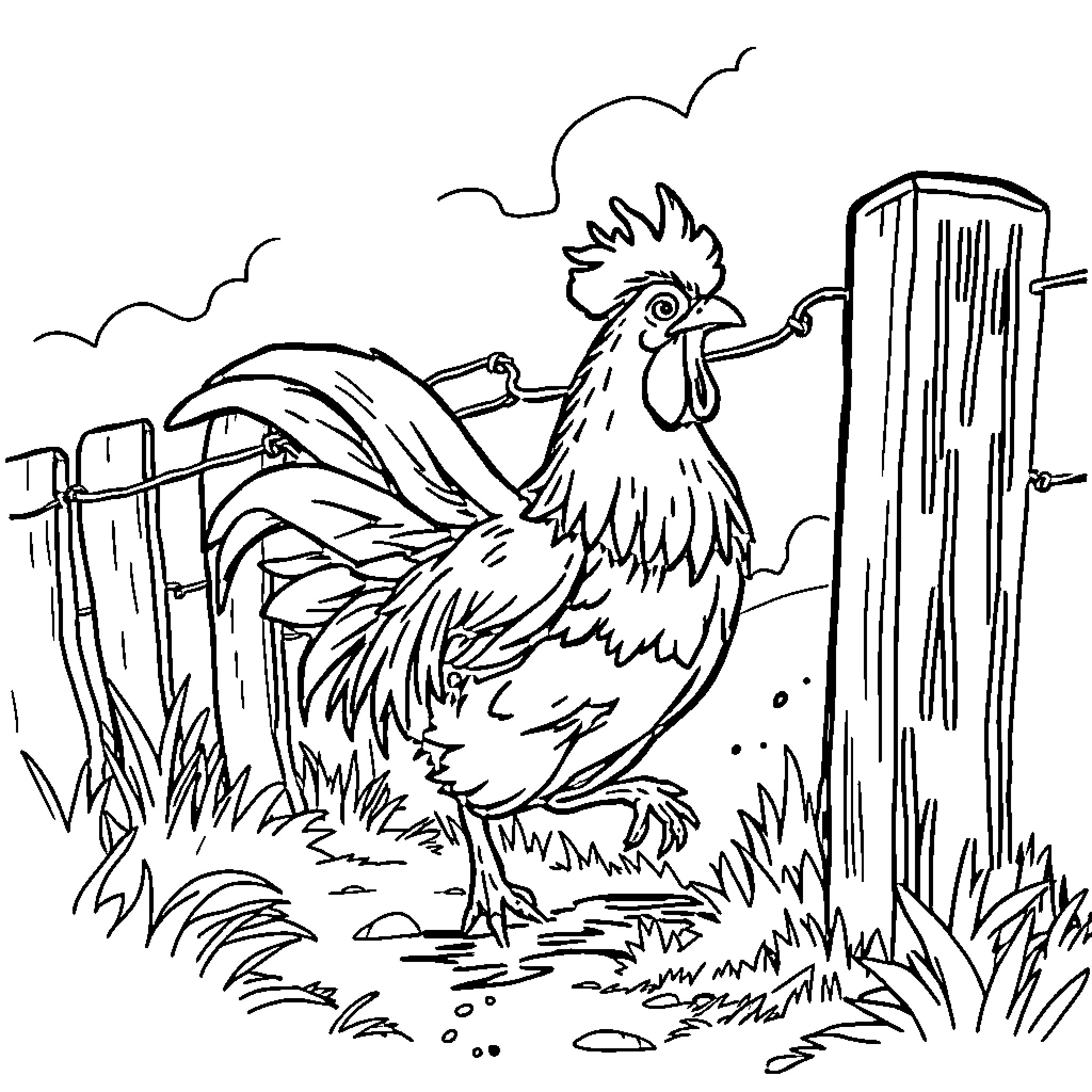 Rooster crowing in the farmyard Coloring Page (free black-and-white line drawing printable PDF for all, from beginners to advanced learners, including children, teens, adults, and seniors)