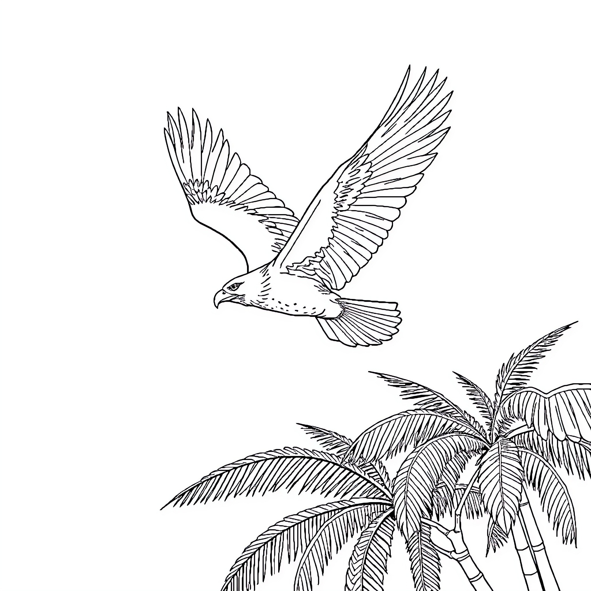 Eagle soaring above tropical palm trees Coloring Page (free black-and-white line drawing printable PDF for all, from beginners to advanced learners, including children, teens, adults, and seniors)