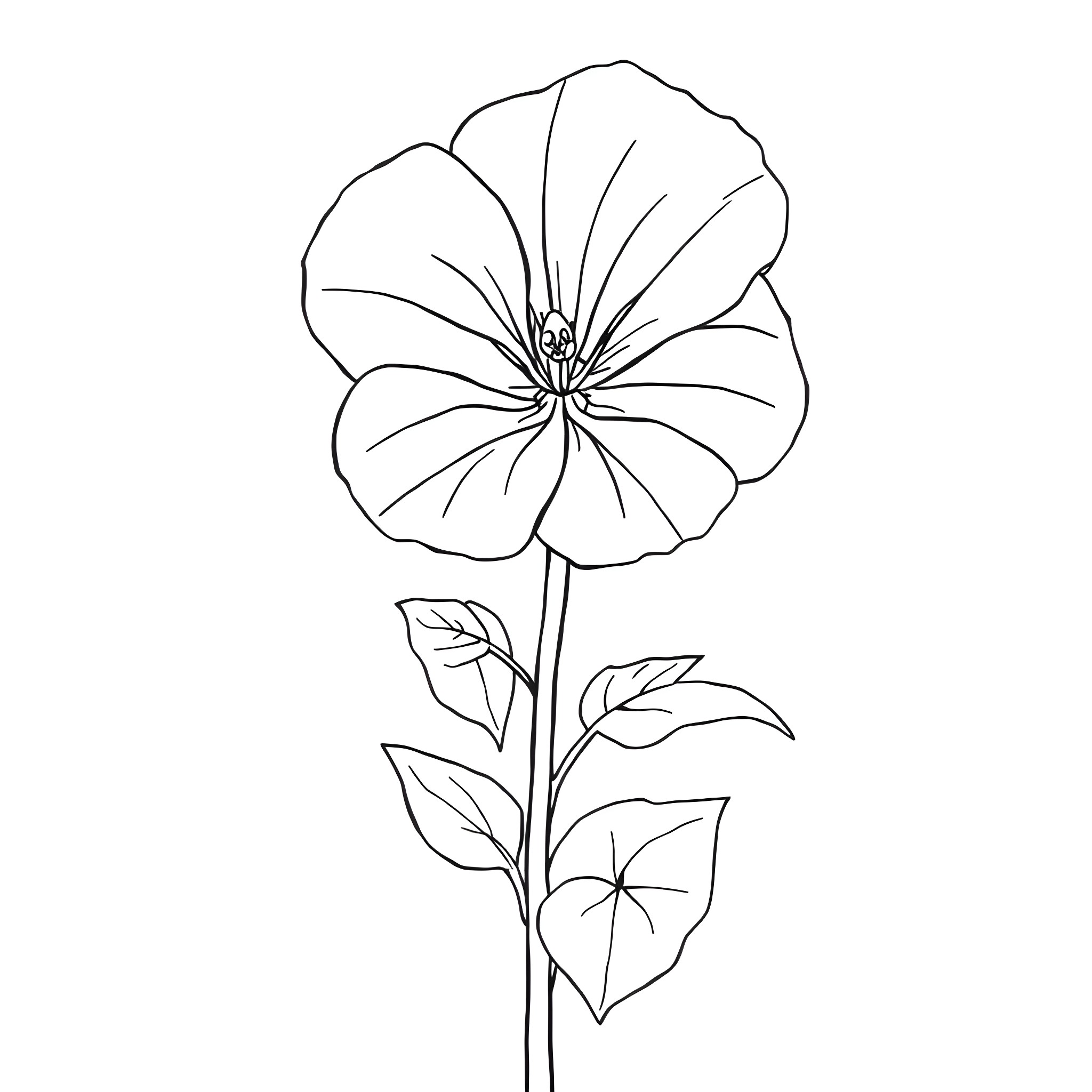 Petunia flower in simple line art Coloring Page (free black-and-white line drawing printable PDF for all, from beginners to advanced learners, including children, teens, adults, and seniors)