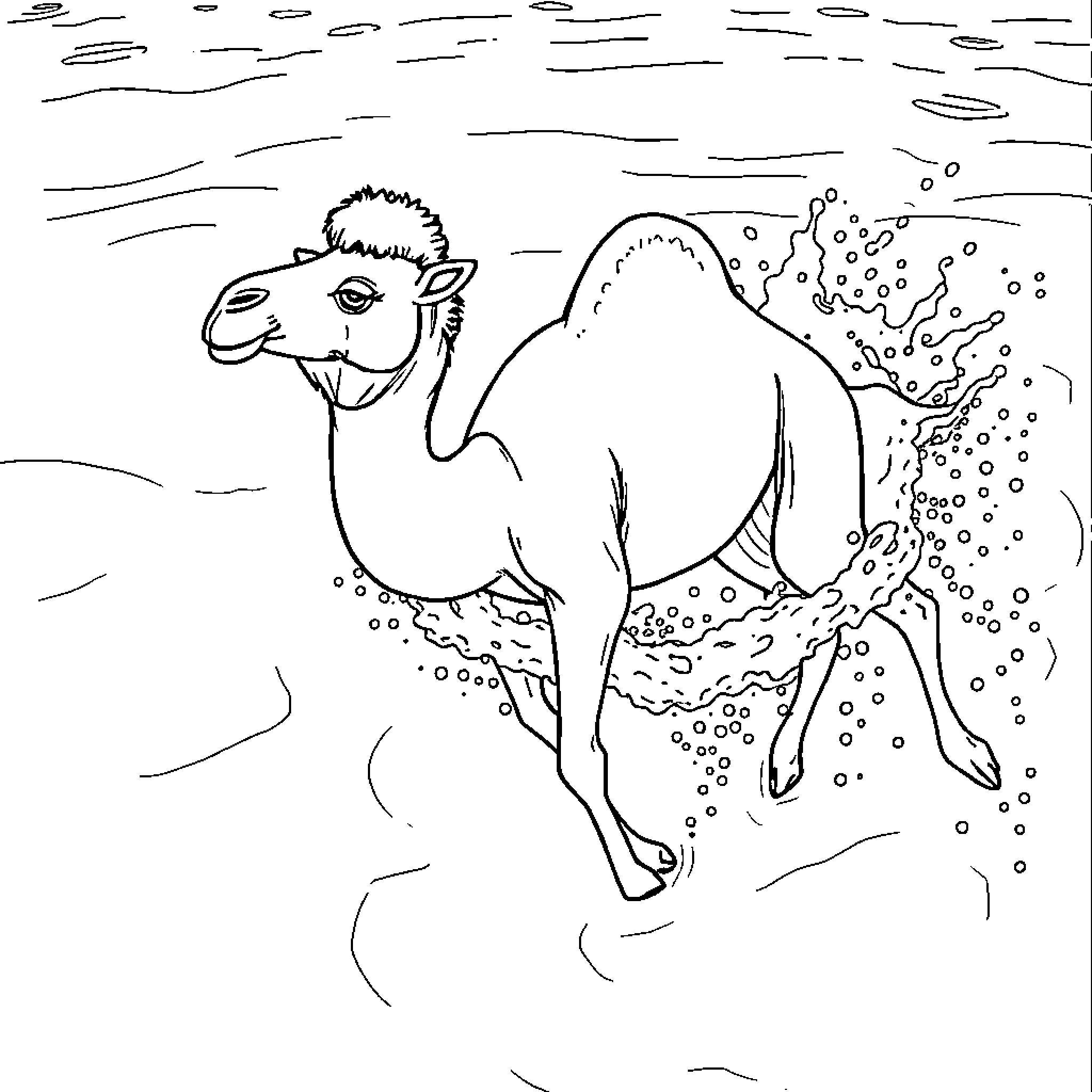 Camel Traversing the Snowy Landscape Coloring Page (free black-and-white line drawing printable PDF for all, from beginners to advanced learners, including children, teens, adults, and seniors)