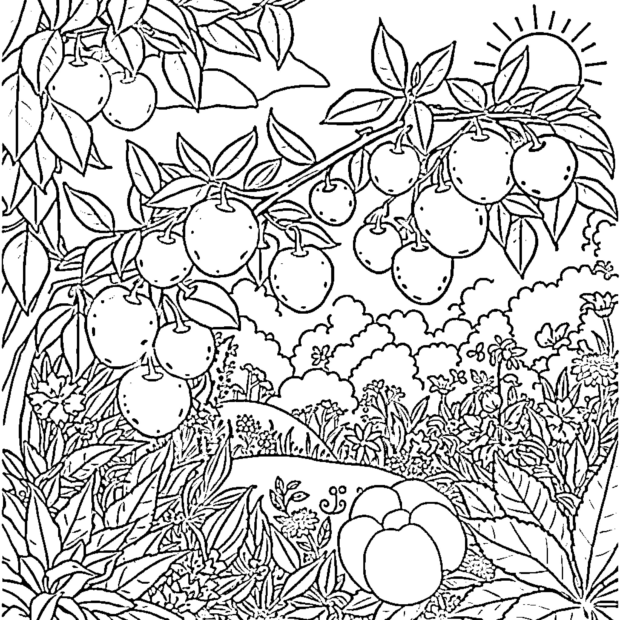 Fruit-filled Garden with Sun and Blooming Flowers Coloring Page (free black-and-white line drawing printable PDF for all, from beginners to advanced learners, including children, teens, adults, and seniors)