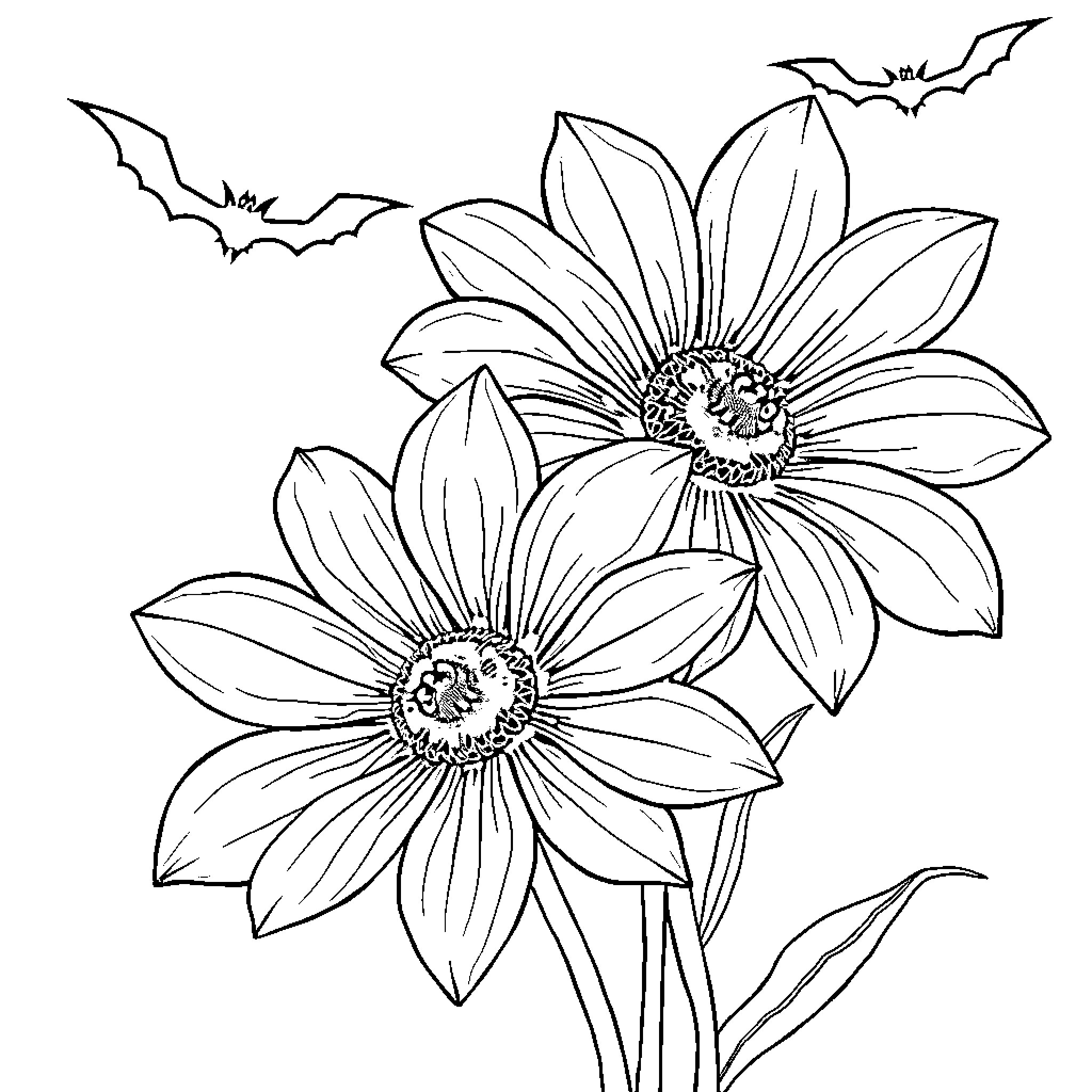 Flower Blooming with Bats in the Sky Coloring Page (free black-and-white line drawing printable PDF for all, from beginners to advanced learners, including children, teens, adults, and seniors)