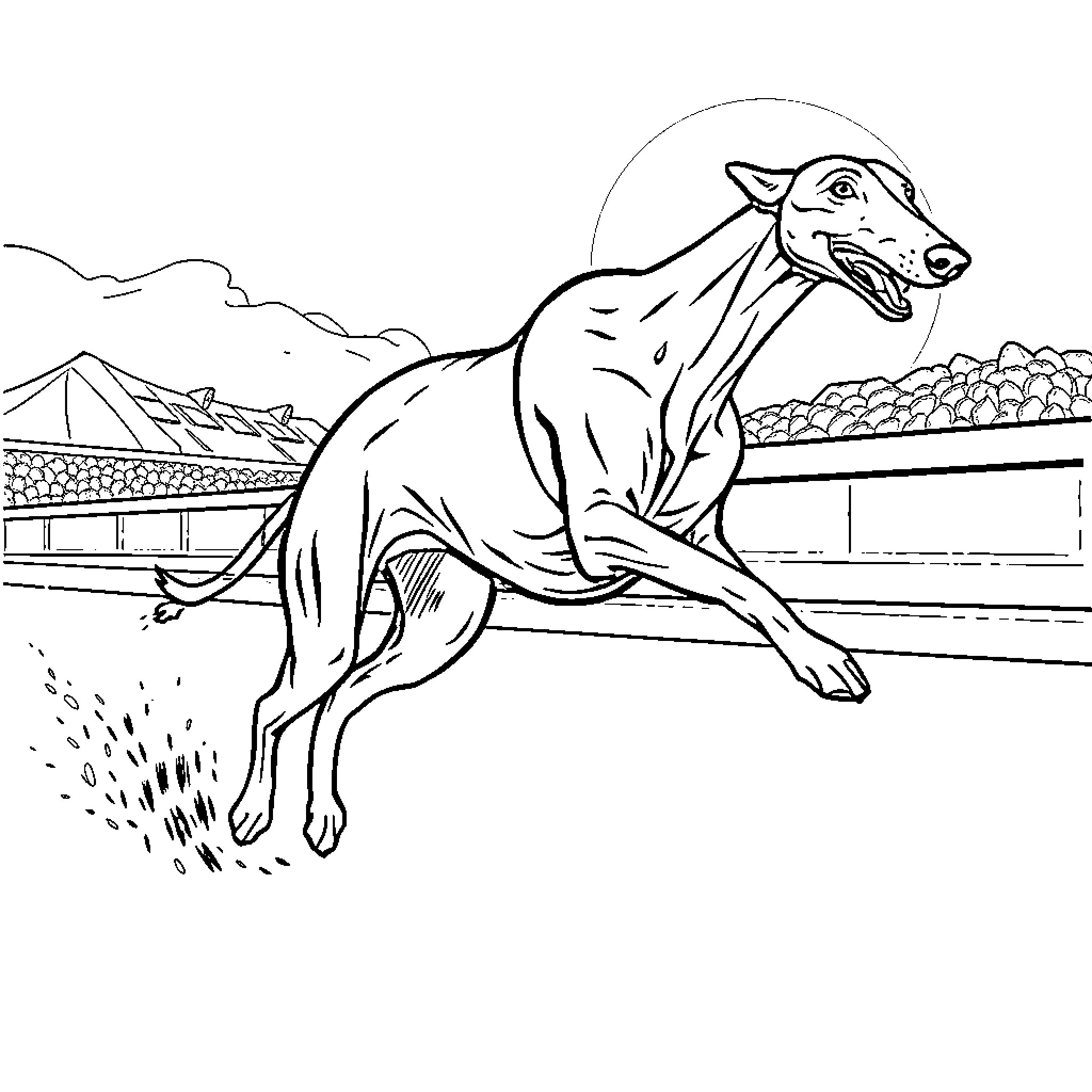 Greyhound racing on track Coloring Page (free black-and-white line drawing printable PDF for all, from beginners to advanced learners, including children, teens, adults, and seniors)