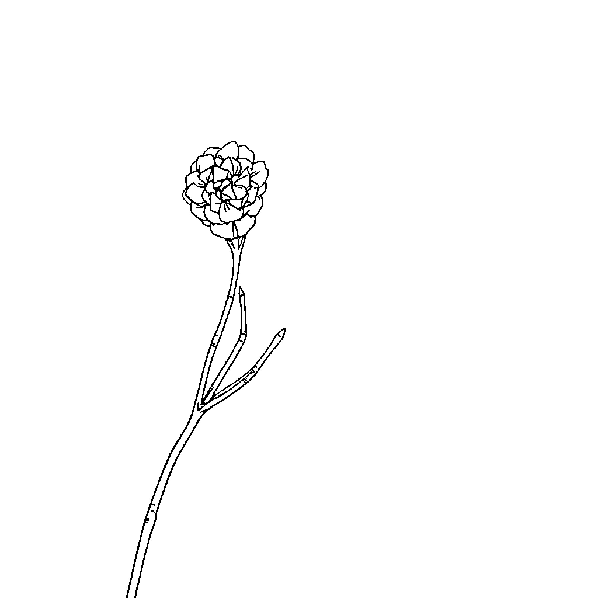 Ramadan flower in simple line art Coloring Page (free black-and-white line drawing printable PDF for all, from beginners to advanced learners, including children, teens, adults, and seniors)