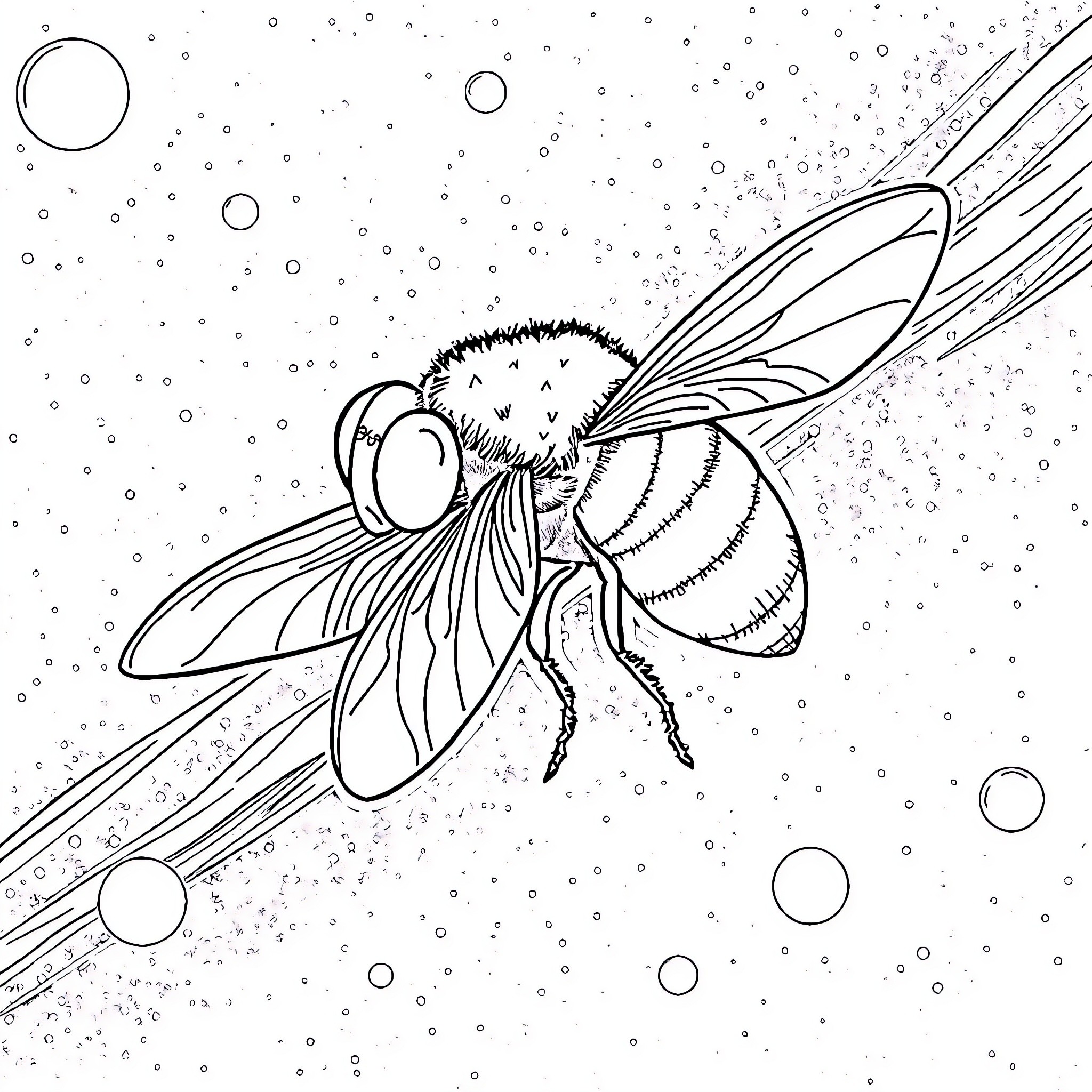 Baby Fly exploring the starry cosmos Coloring Page (free black-and-white line drawing printable PDF for all, from beginners to advanced learners, including children, teens, adults, and seniors)