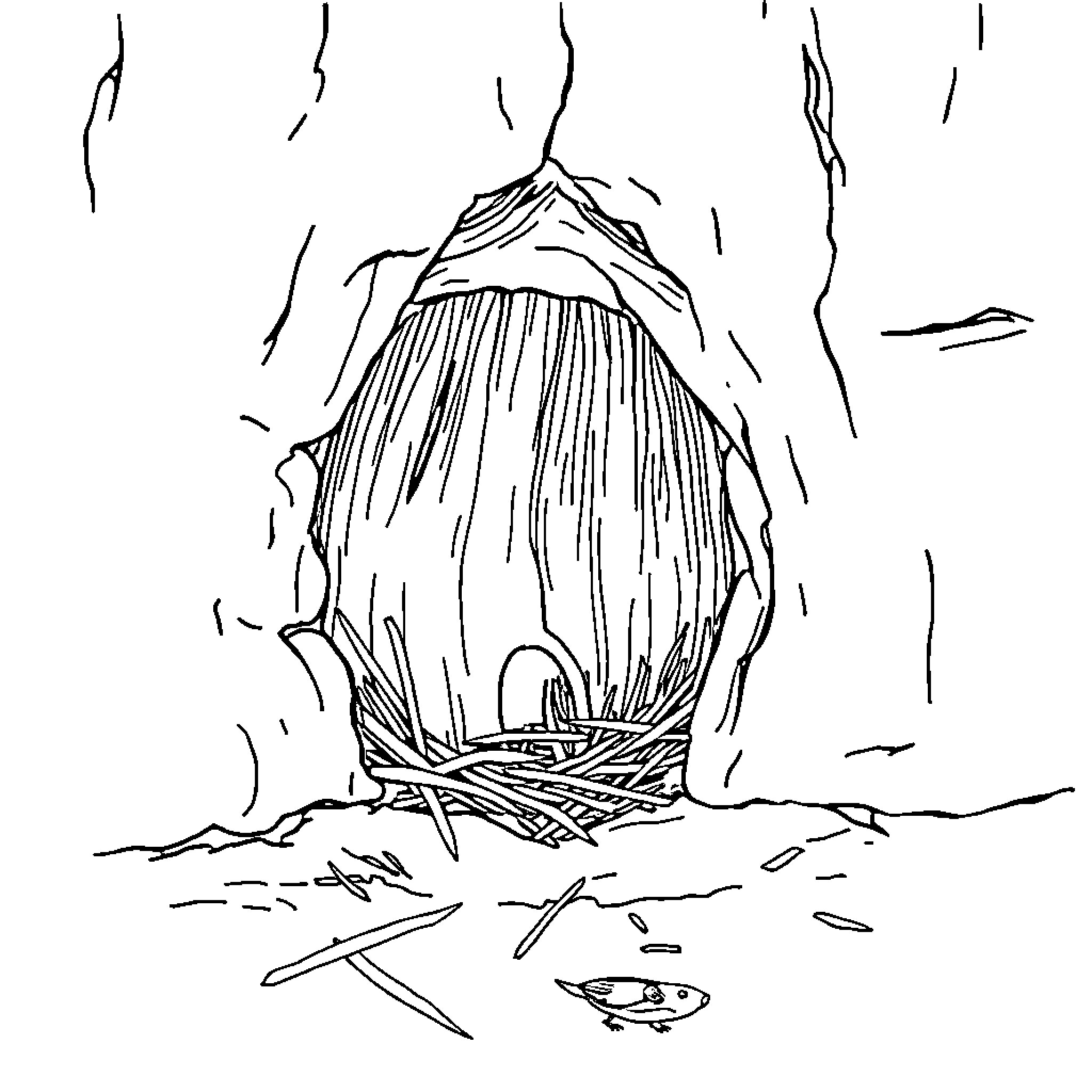 Mouse Nest in Cozy Shelter Coloring Page (free black-and-white line drawing printable PDF for all, from beginners to advanced learners, including children, teens, adults, and seniors)