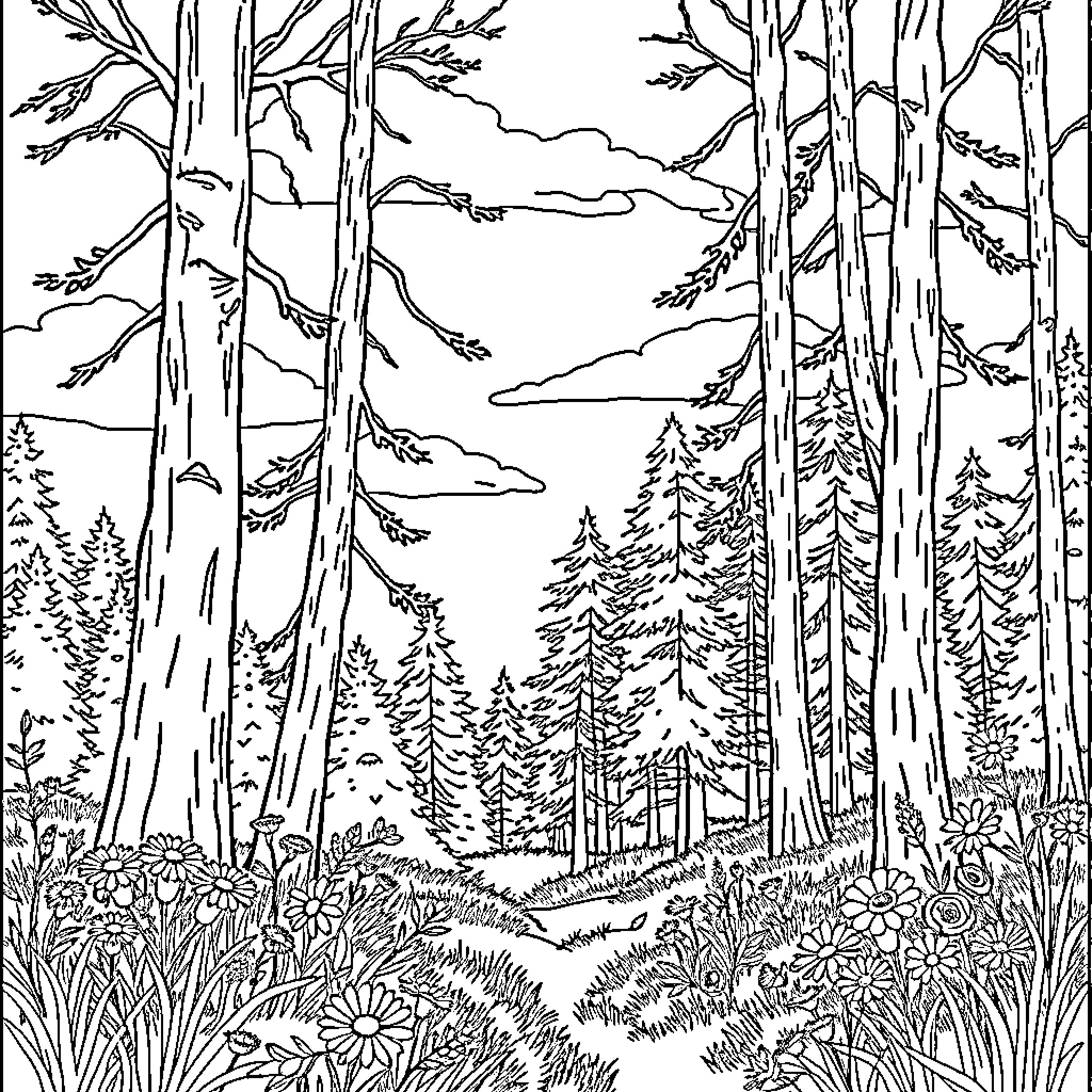 Nature's Serene Forest Pathway Coloring Page (free black-and-white line drawing printable PDF for all, from beginners to advanced learners, including children, teens, adults, and seniors)