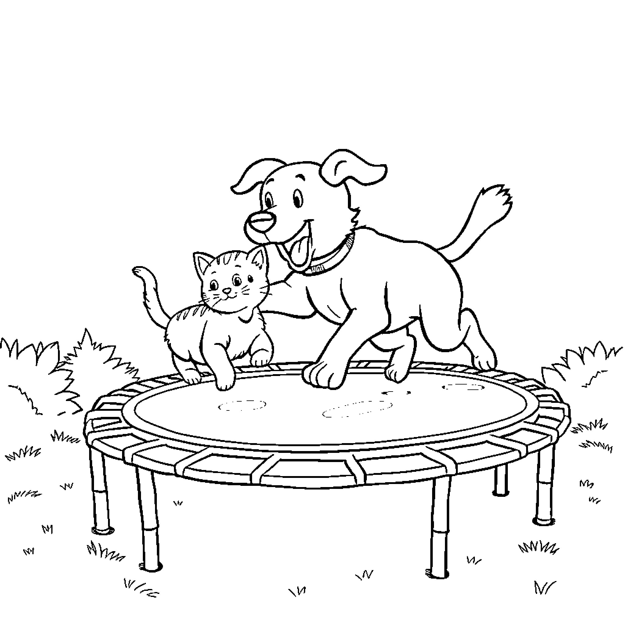 Dog and Cat Playing on a Trampoline Coloring Page (free black-and-white line drawing printable PDF for all, from beginners to advanced learners, including children, teens, adults, and seniors)