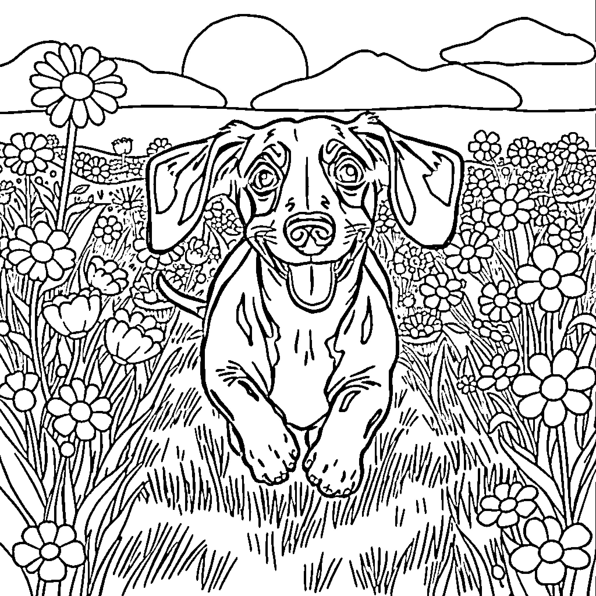 Dachshund exploring a vibrant floral garden Coloring Page (free black-and-white line drawing printable PDF for all, from beginners to advanced learners, including children, teens, adults, and seniors)