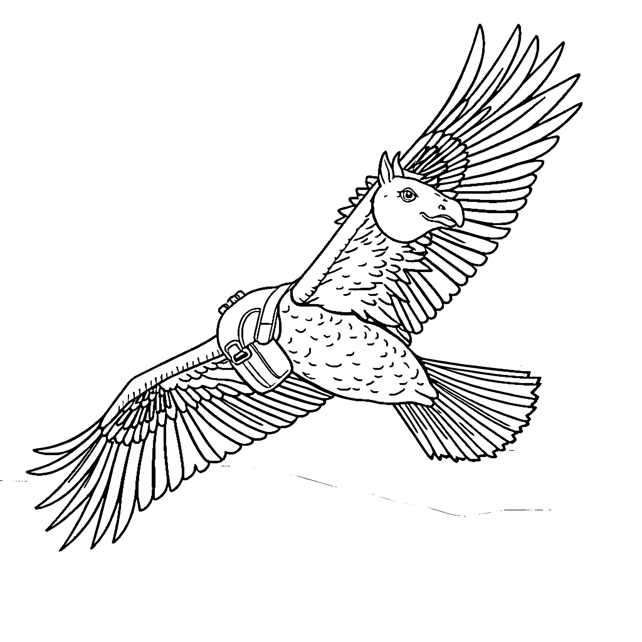 Eagle soaring gracefully in the sky Coloring Page (free black-and-white line drawing printable PDF for all, from beginners to advanced learners, including children, teens, adults, and seniors)