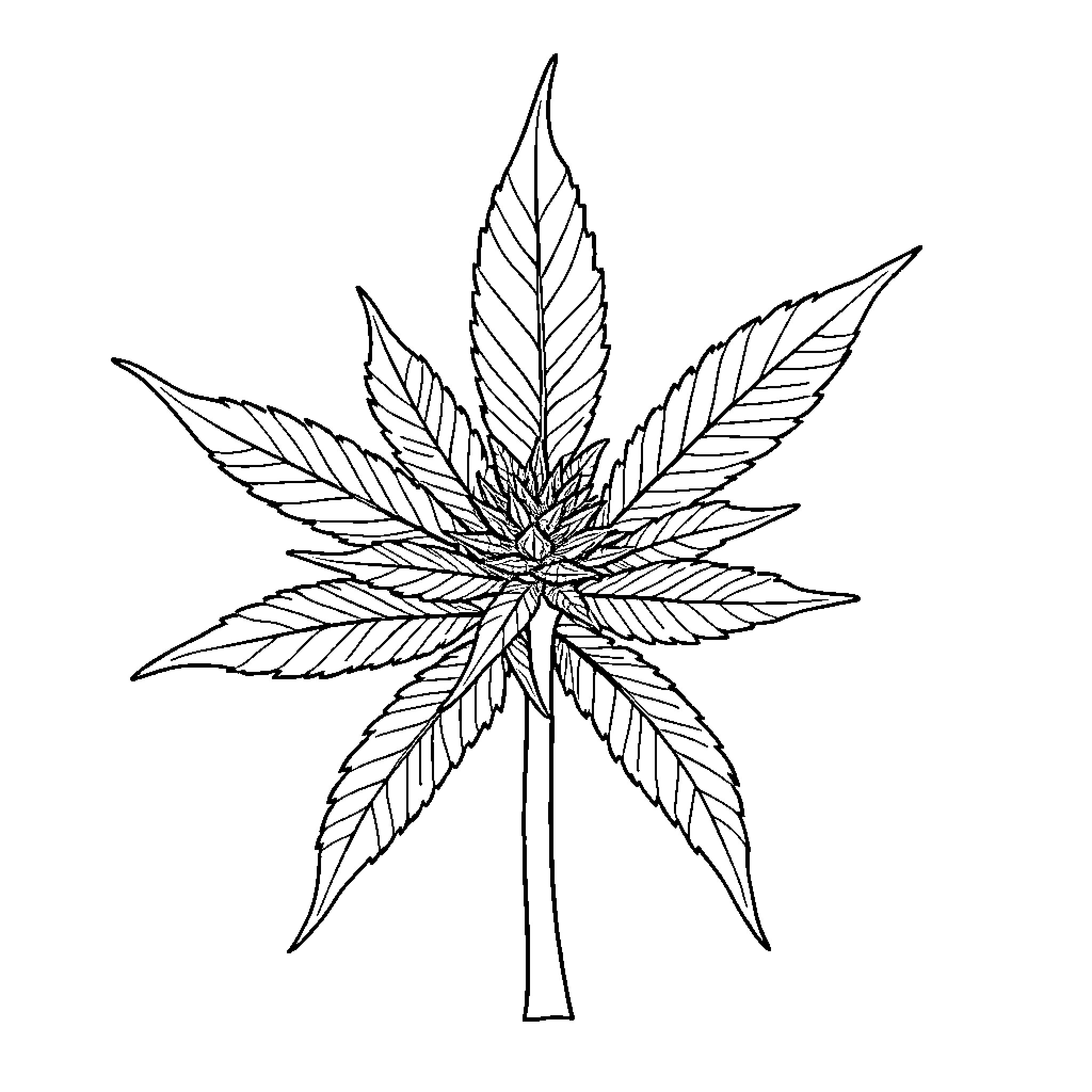 Cannabis leaf detailed illustration Coloring Page (free black-and-white line drawing printable PDF for all, from beginners to advanced learners, including children, teens, adults, and seniors)