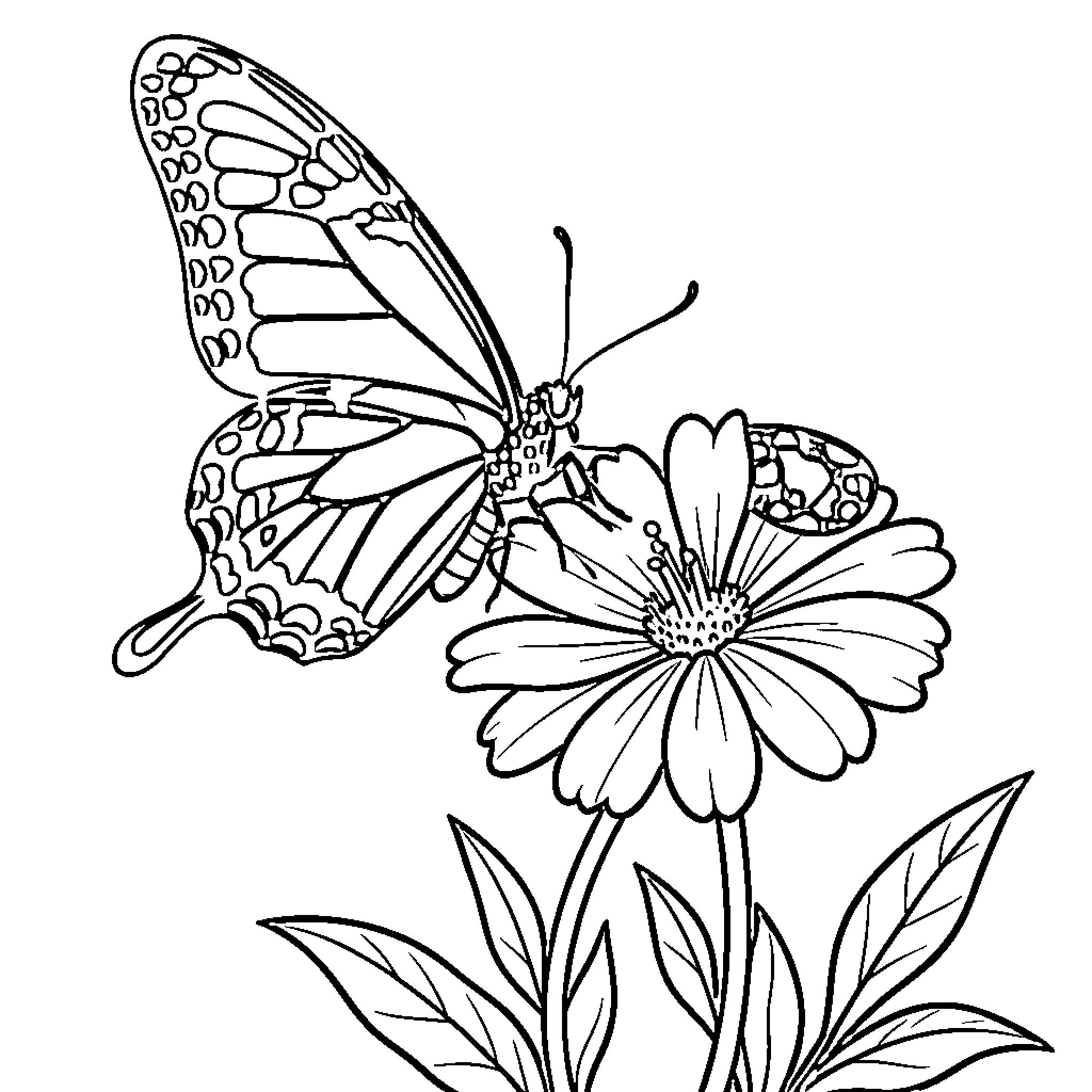 Butterfly resting on a blooming flower Coloring Page (free black-and-white line drawing printable PDF for all, from beginners to advanced learners, including children, teens, adults, and seniors)