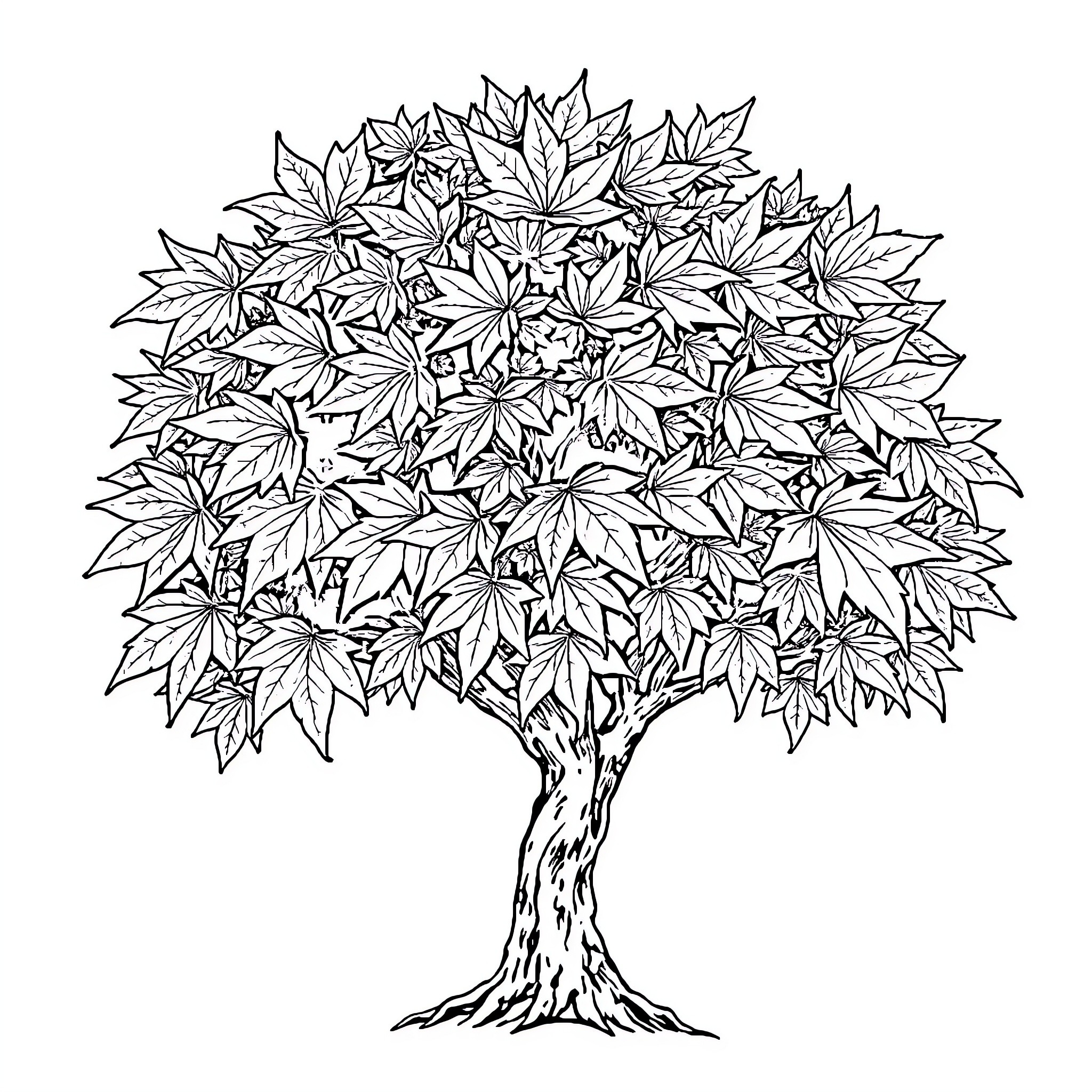 Maple Tree with Detailed Foliage Coloring Page (free black-and-white line drawing printable PDF for all, from beginners to advanced learners, including children, teens, adults, and seniors)