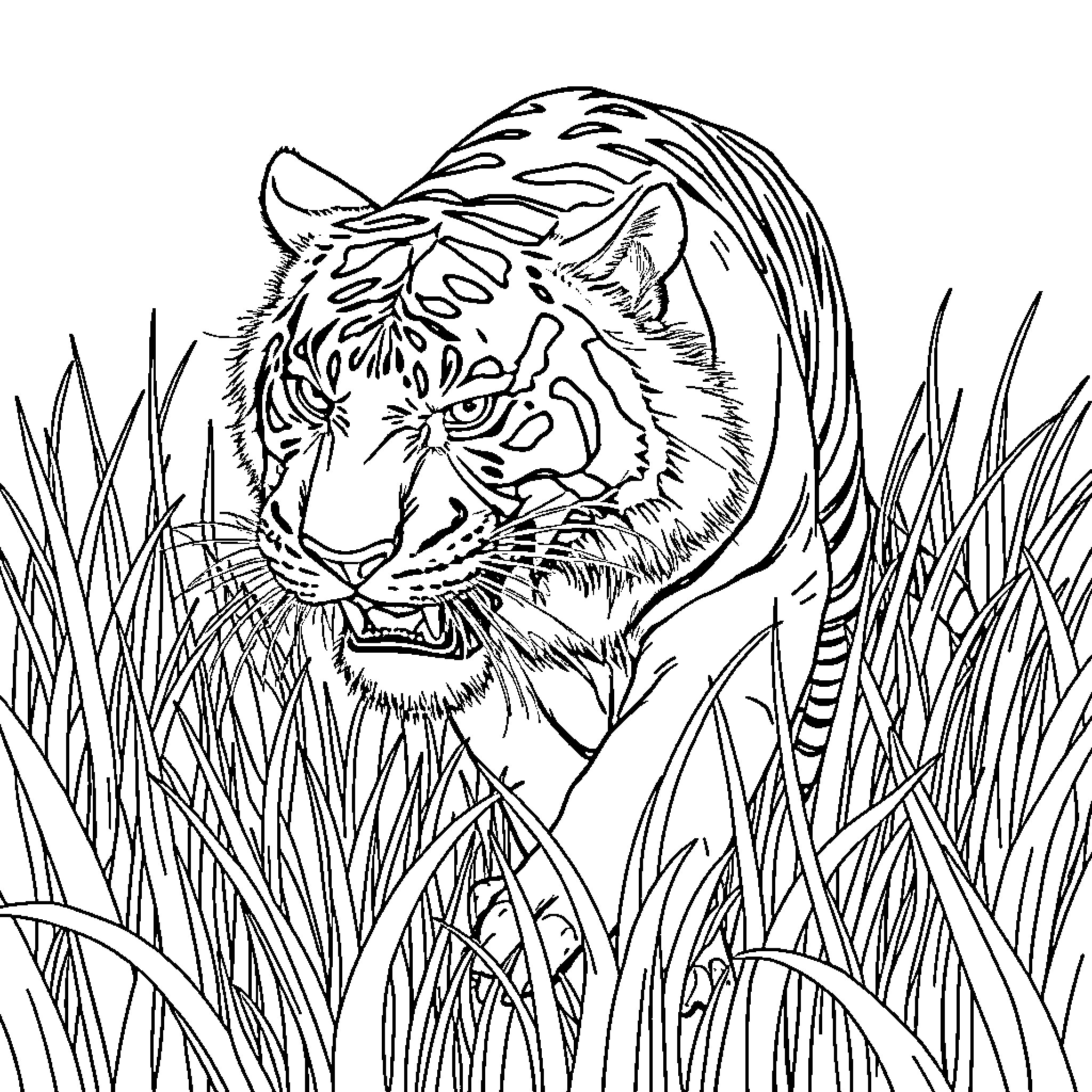 Tiger lurking in tall grass Coloring Page (free black-and-white line drawing printable PDF for all, from beginners to advanced learners, including children, teens, adults, and seniors)