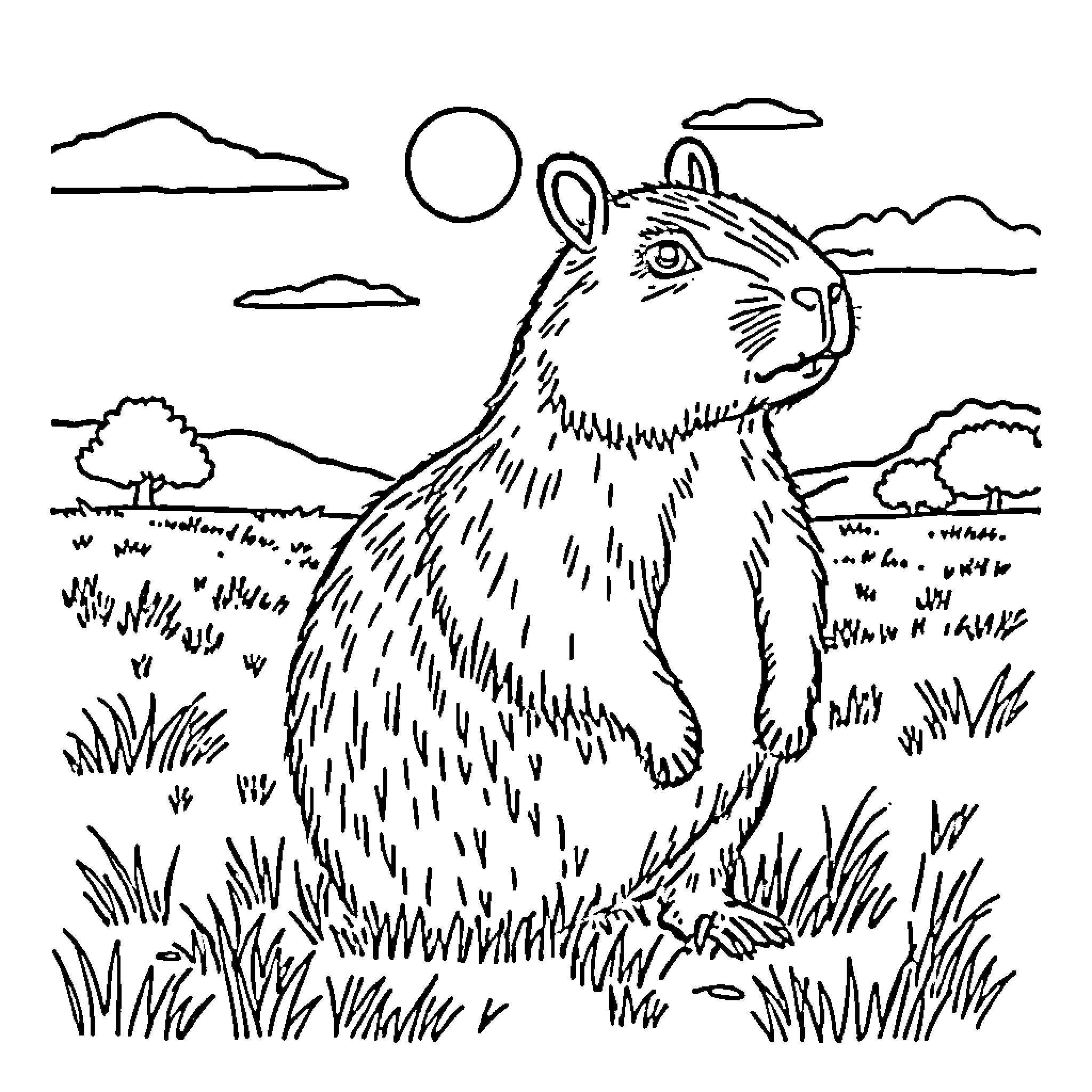 Capybara exploring the serene landscape Coloring Page (free black-and-white line drawing printable PDF for all, from beginners to advanced learners, including children, teens, adults, and seniors)