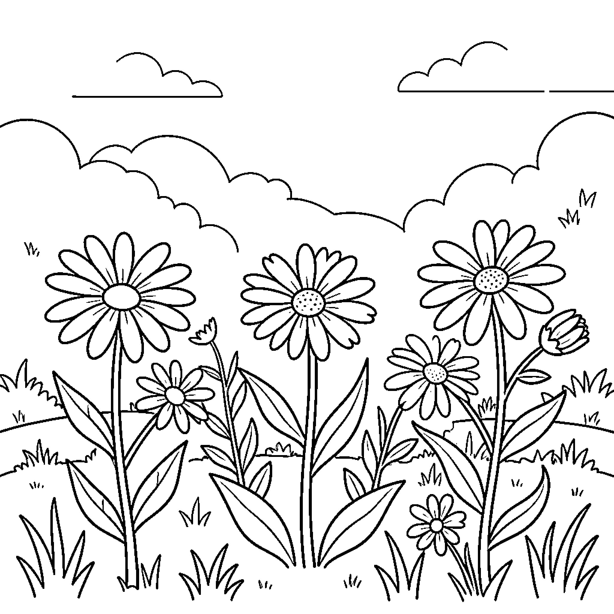 Daisy flowers blooming in a peaceful meadow Coloring Page (free black-and-white line drawing printable PDF for all, from beginners to advanced learners, including children, teens, adults, and seniors)