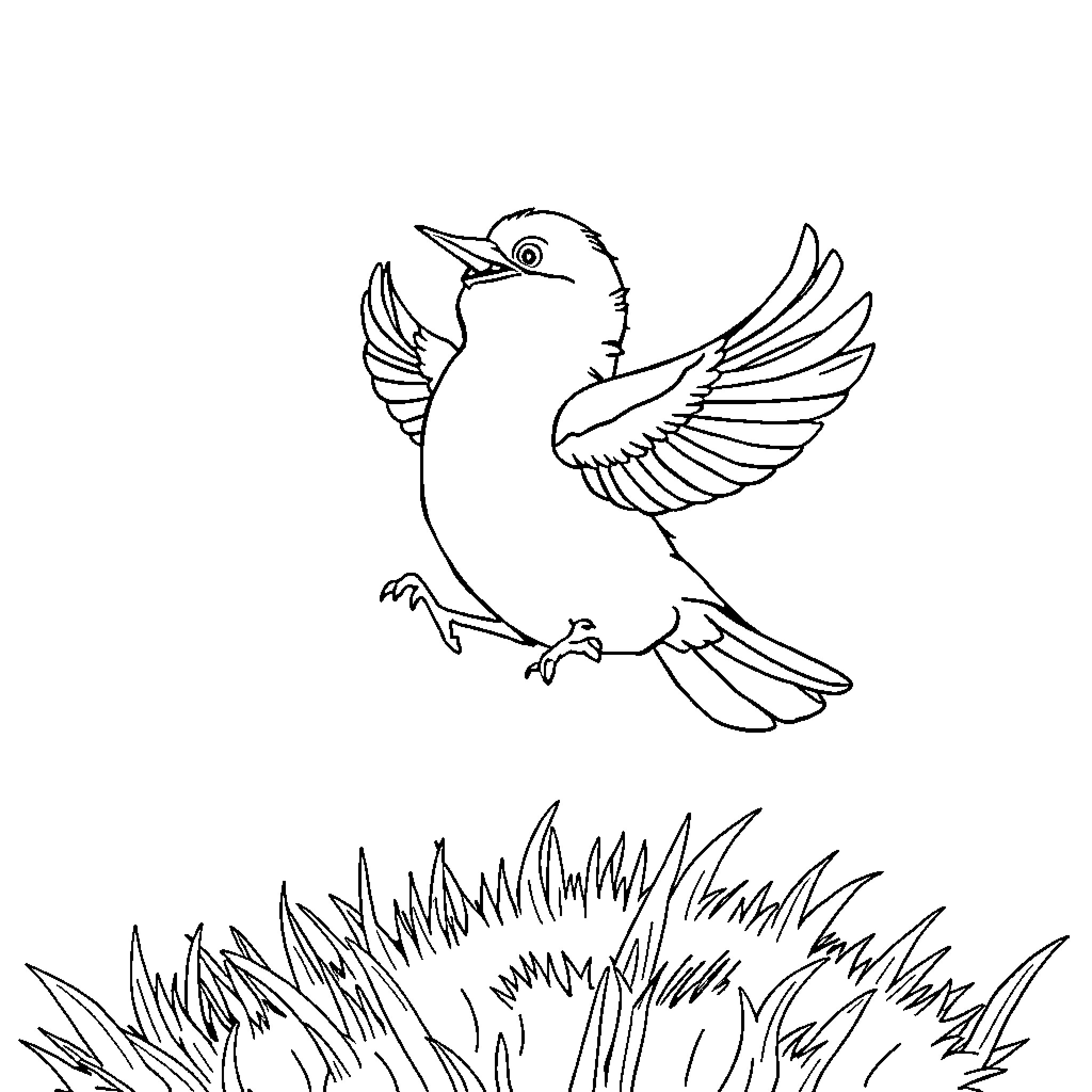 Squirrel bird soaring over the grass Coloring Page (free black-and-white line drawing printable PDF for all, from beginners to advanced learners, including children, teens, adults, and seniors)