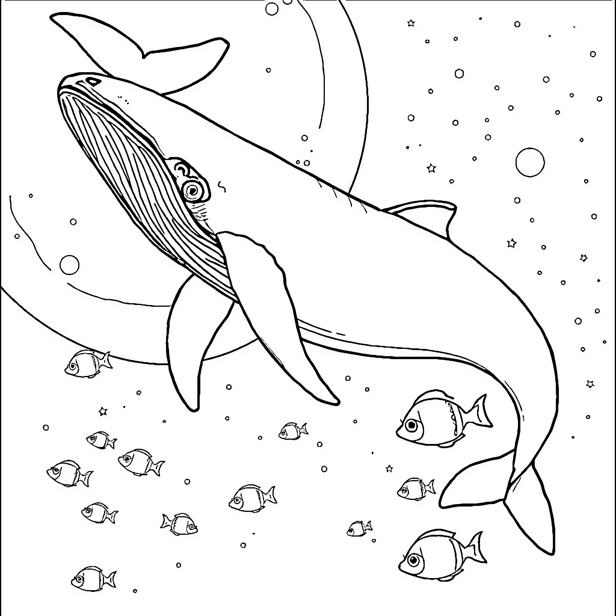 Humpback Whale swimming in the deep ocean Coloring Page (free black-and-white line drawing printable PDF for all, from beginners to advanced learners, including children, teens, adults, and seniors)