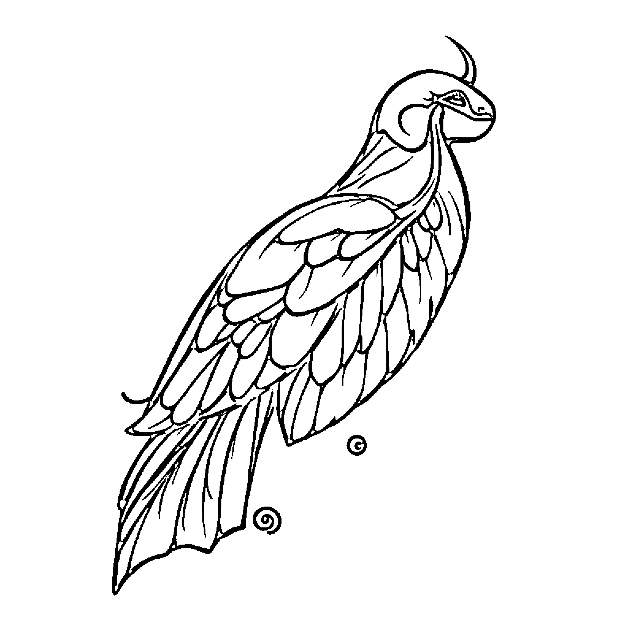 Tattoo of an intricate bird illustration Coloring Page (free black-and-white line drawing printable PDF for all, from beginners to advanced learners, including children, teens, adults, and seniors)