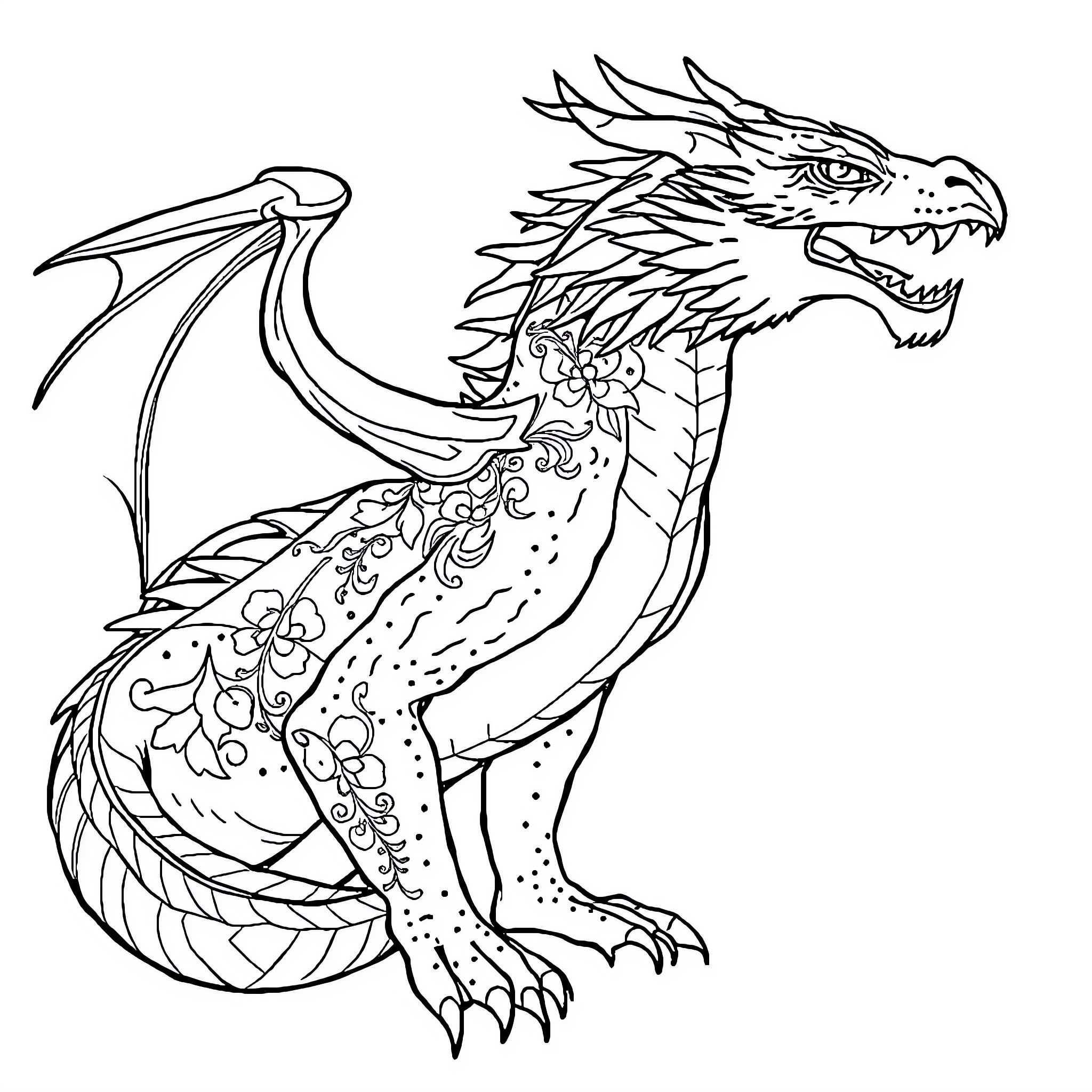 Dragon with ornate wings and fierce expression Coloring Page (free black-and-white line drawing printable PDF for all, from beginners to advanced learners, including children, teens, adults, and seniors)