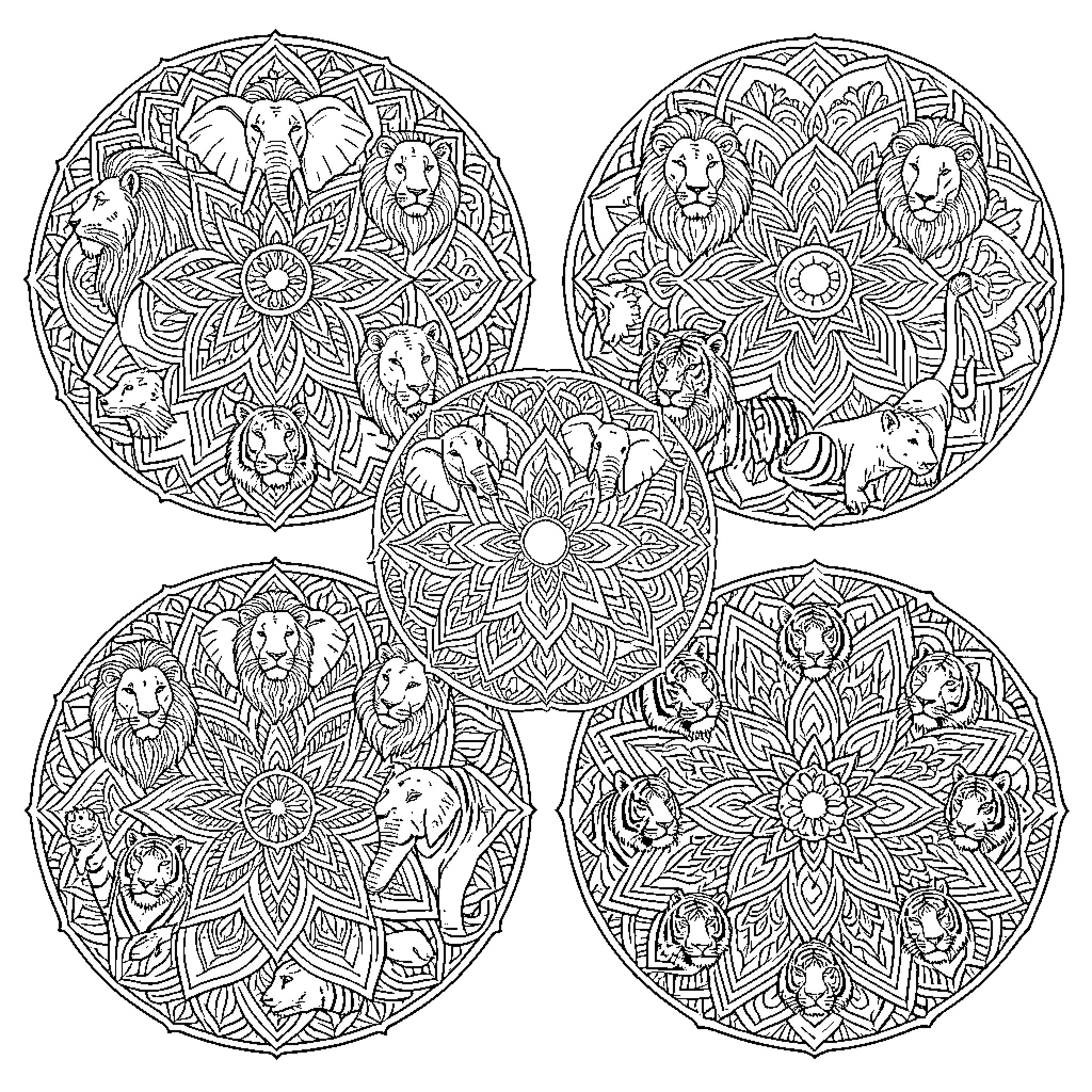 Mandalas with various African wildlife animals Coloring Page (free black-and-white line drawing printable PDF for all, from beginners to advanced learners, including children, teens, adults, and seniors)